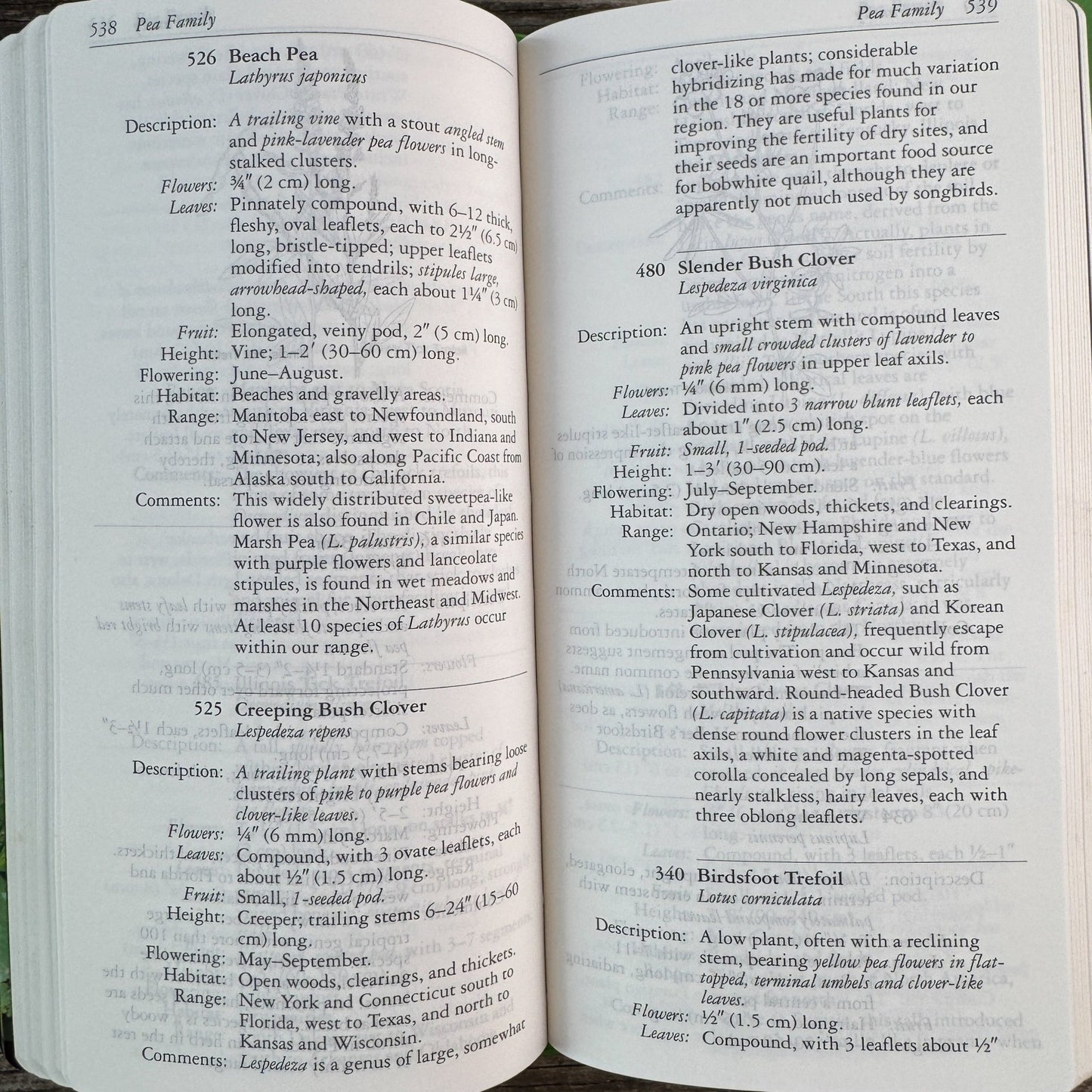 National Audubon Society Field Guide to North American Wildflowers, 2001 - Pretty Old Books