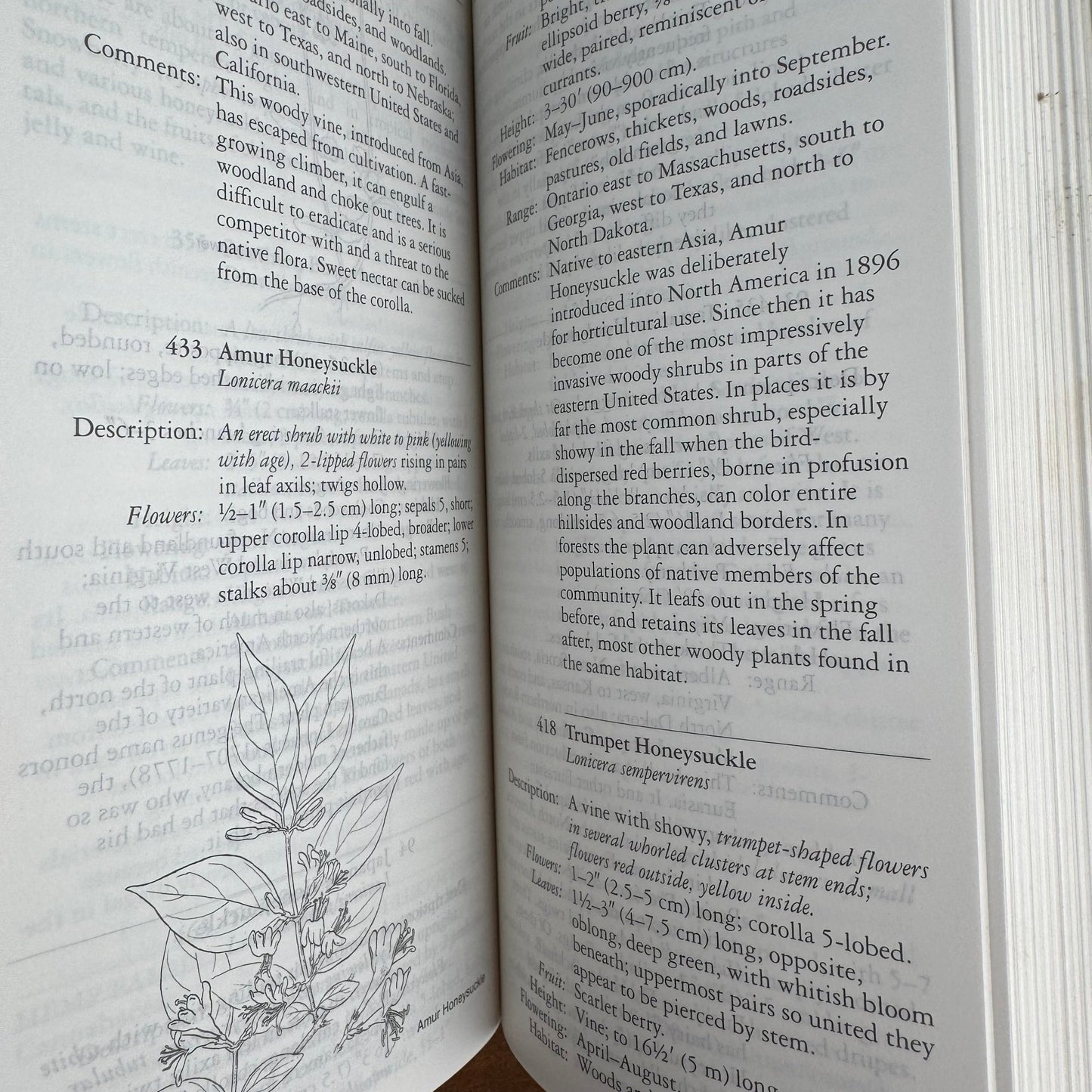 National Audubon Society Field Guide to Wildflowers of the Easter Region of North America - Pretty Old Books