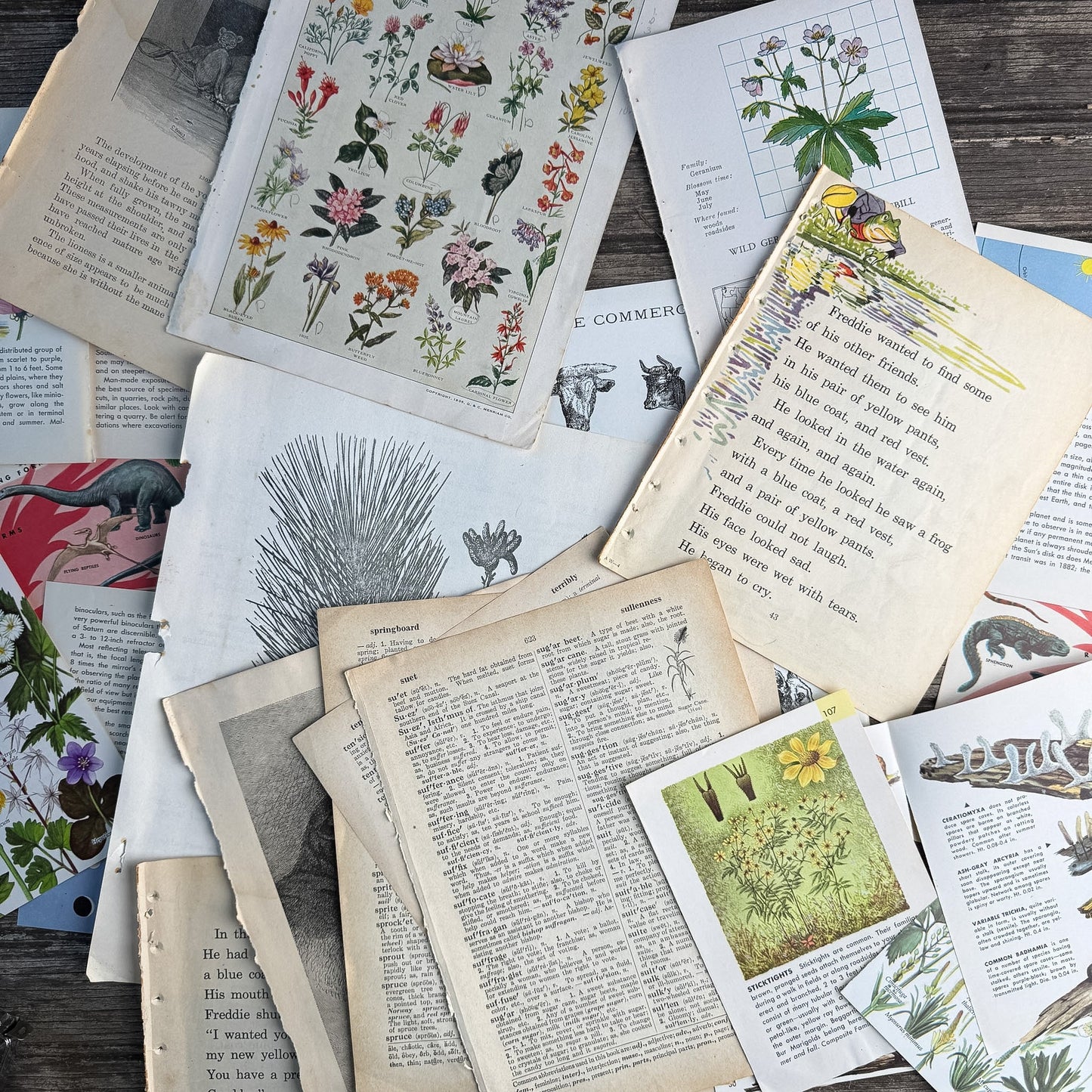 Nature-Themed Book Paperie for Crafting, Junk Journal Supplies, Antique and Vintage Paper Pack (Copy) - Pretty Old Books