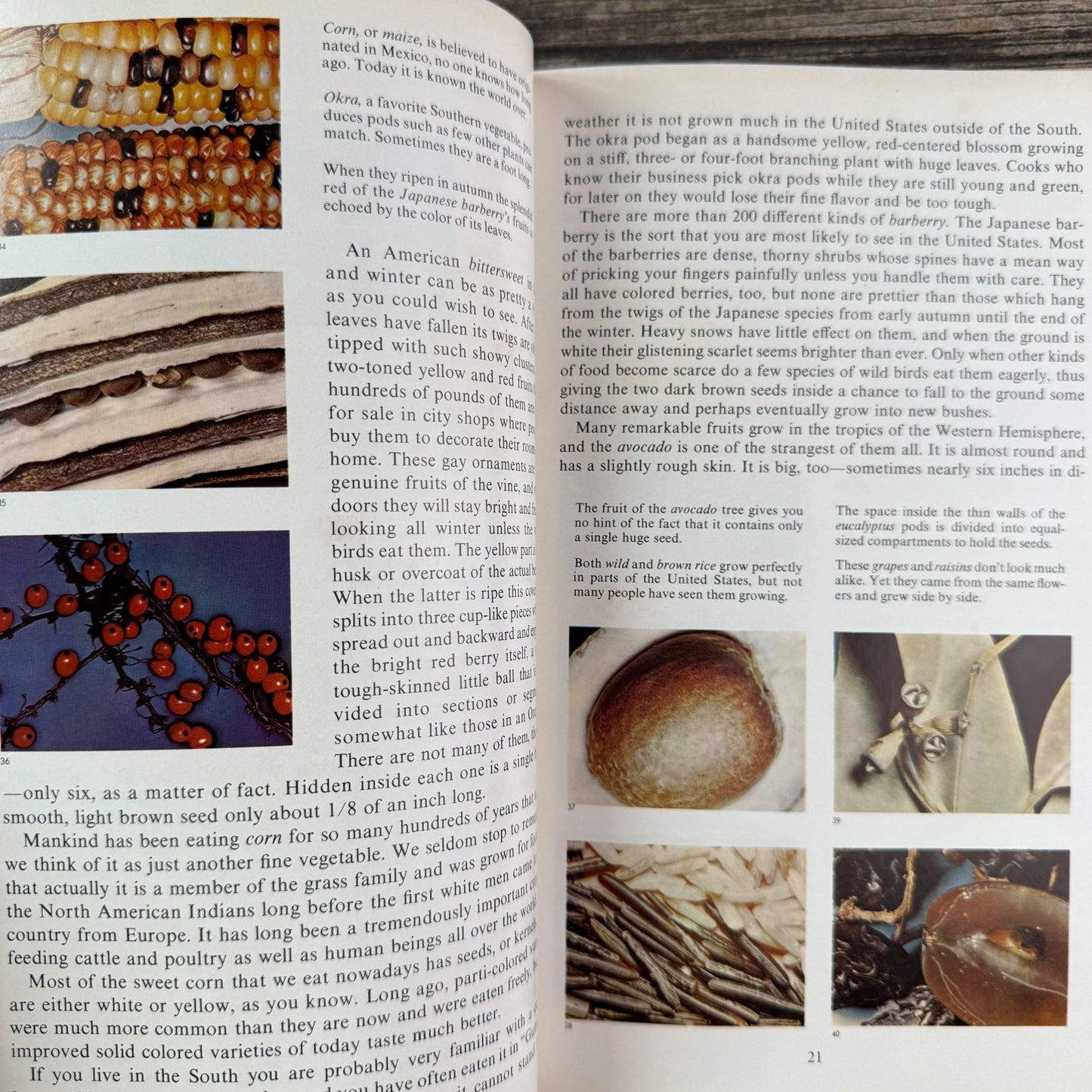 Nature’s Wonders in Full Color, Charles L. Sherman, 1956 - Pretty Old Books