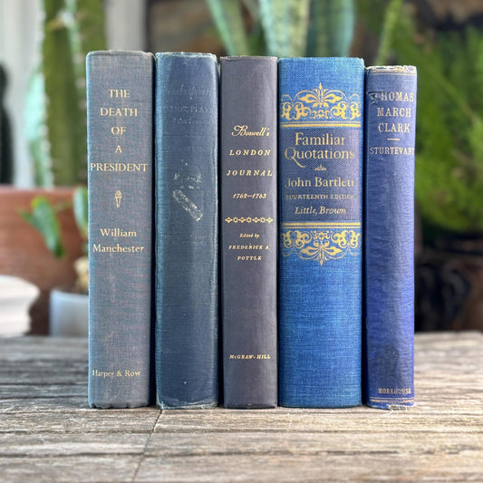 Navy and Indigo Blue Books for Shelf Styling - Pretty Old Books