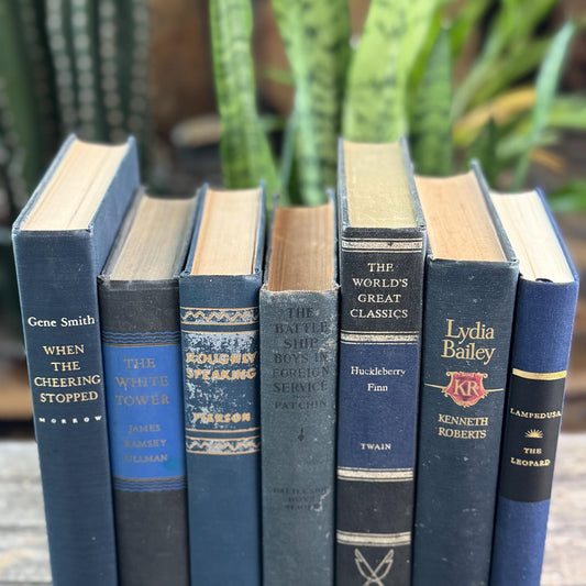 Navy Blue and Black Vintage Book Bundle For Shelf Styling - Pretty Old Books