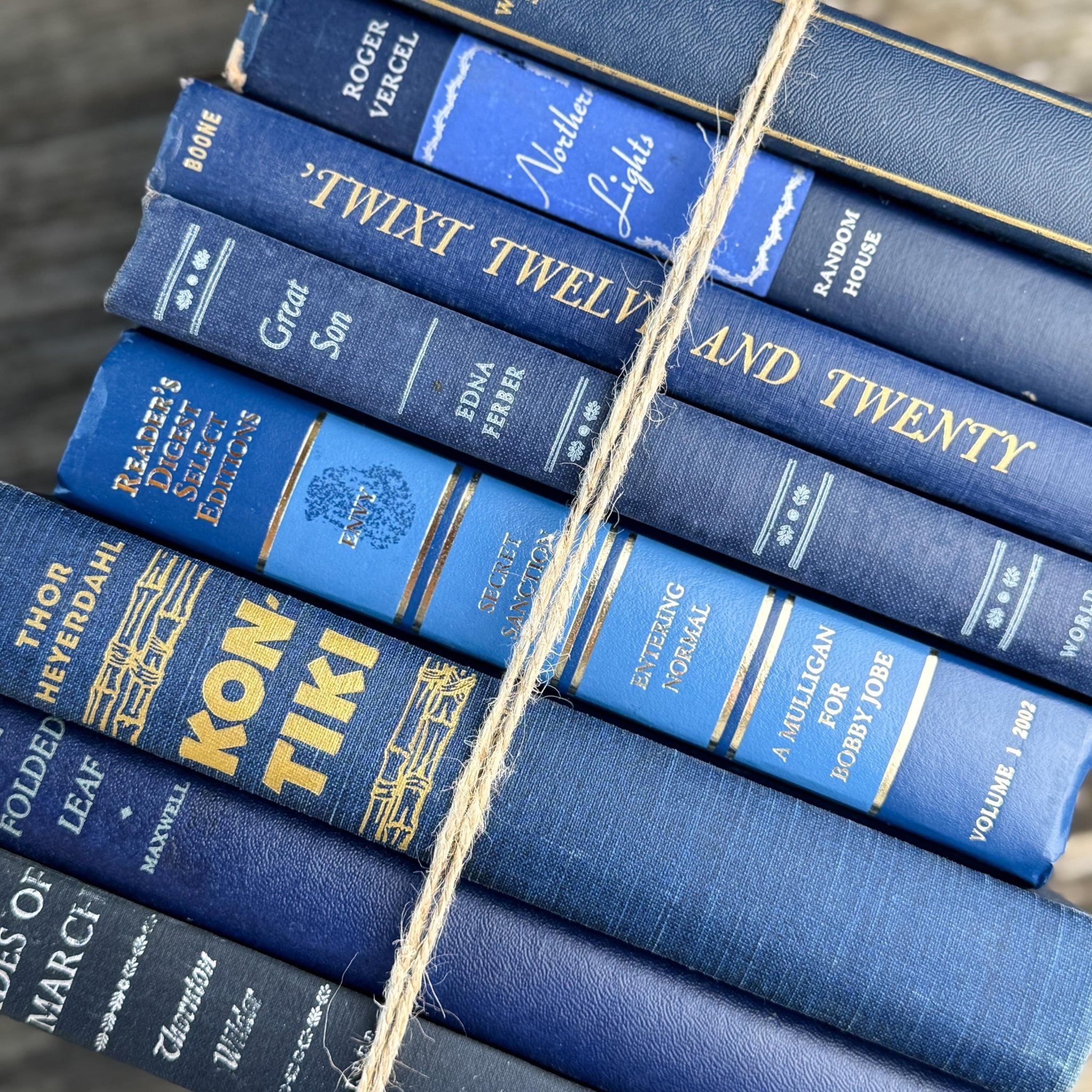 Navy Indigo Blue and Gold Vintage Book Set for Decor, Bookshelf