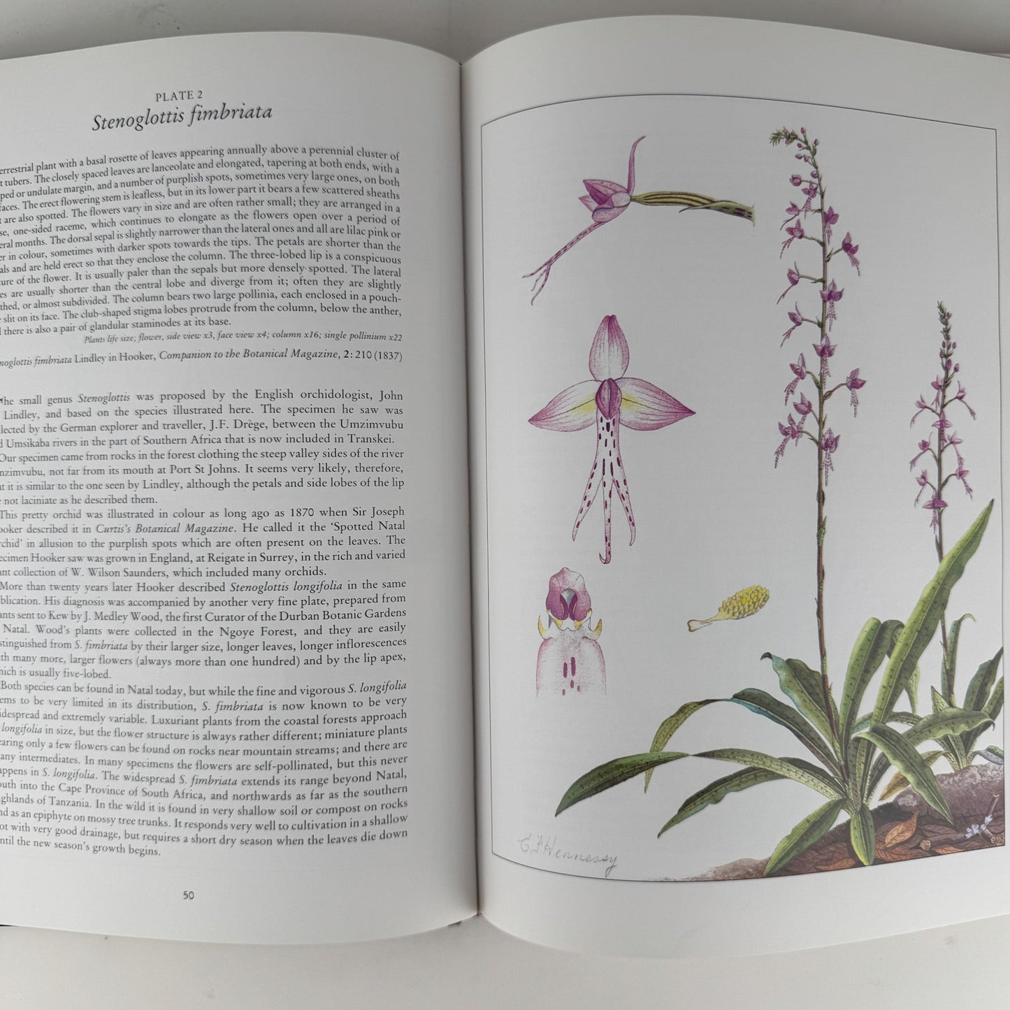 Orchids of Africa, 1981, 50 Color Plates - Pretty Old Books