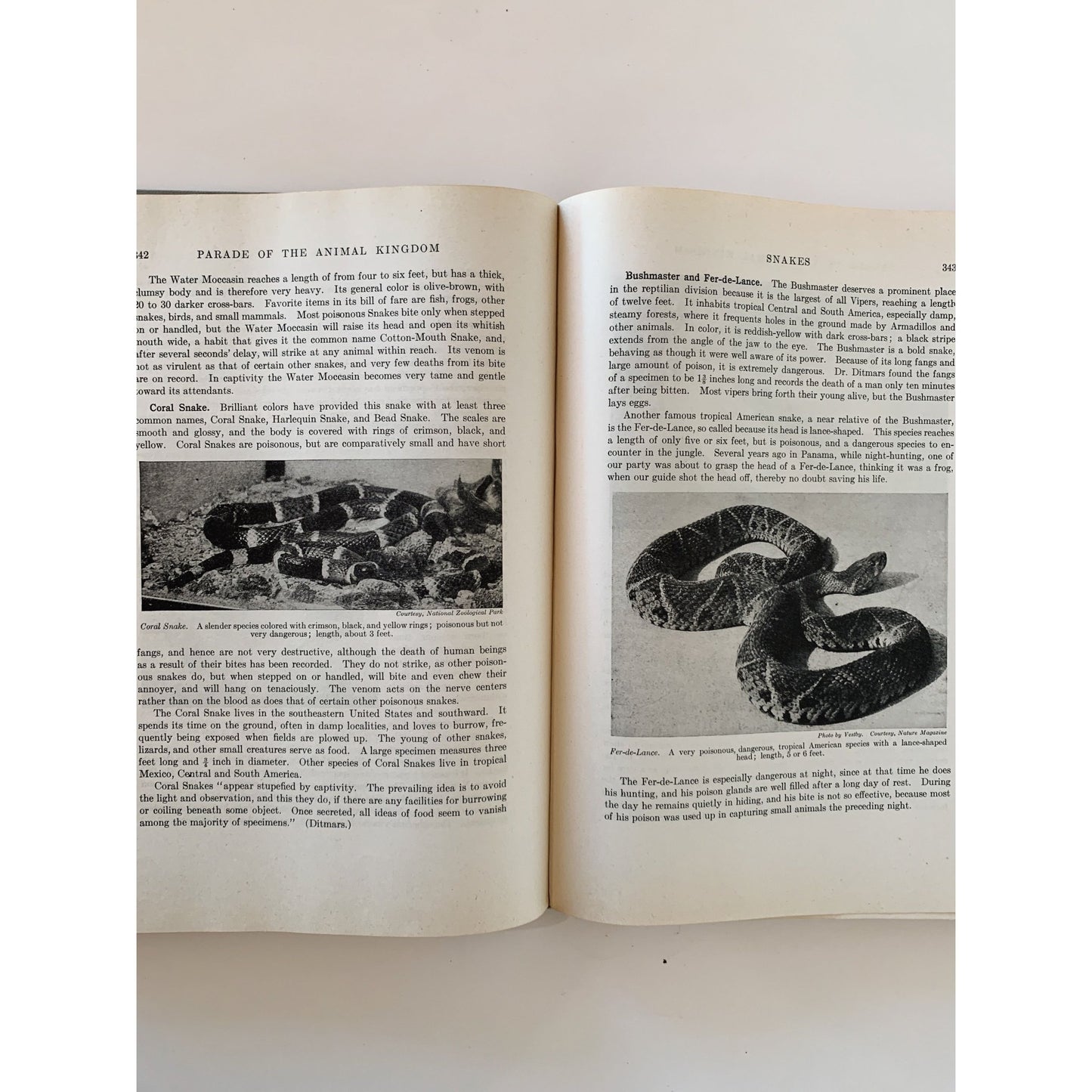 Parade of the Animal Kingdom, Robert Hegner, 1946, Nature Study Hardcover - Pretty Old Books