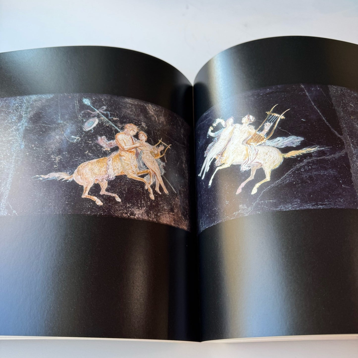 Pompeii and the Roman Villa: Art and Culture Around the Bay of Naples, Coffee Table Book - Pretty Old Books