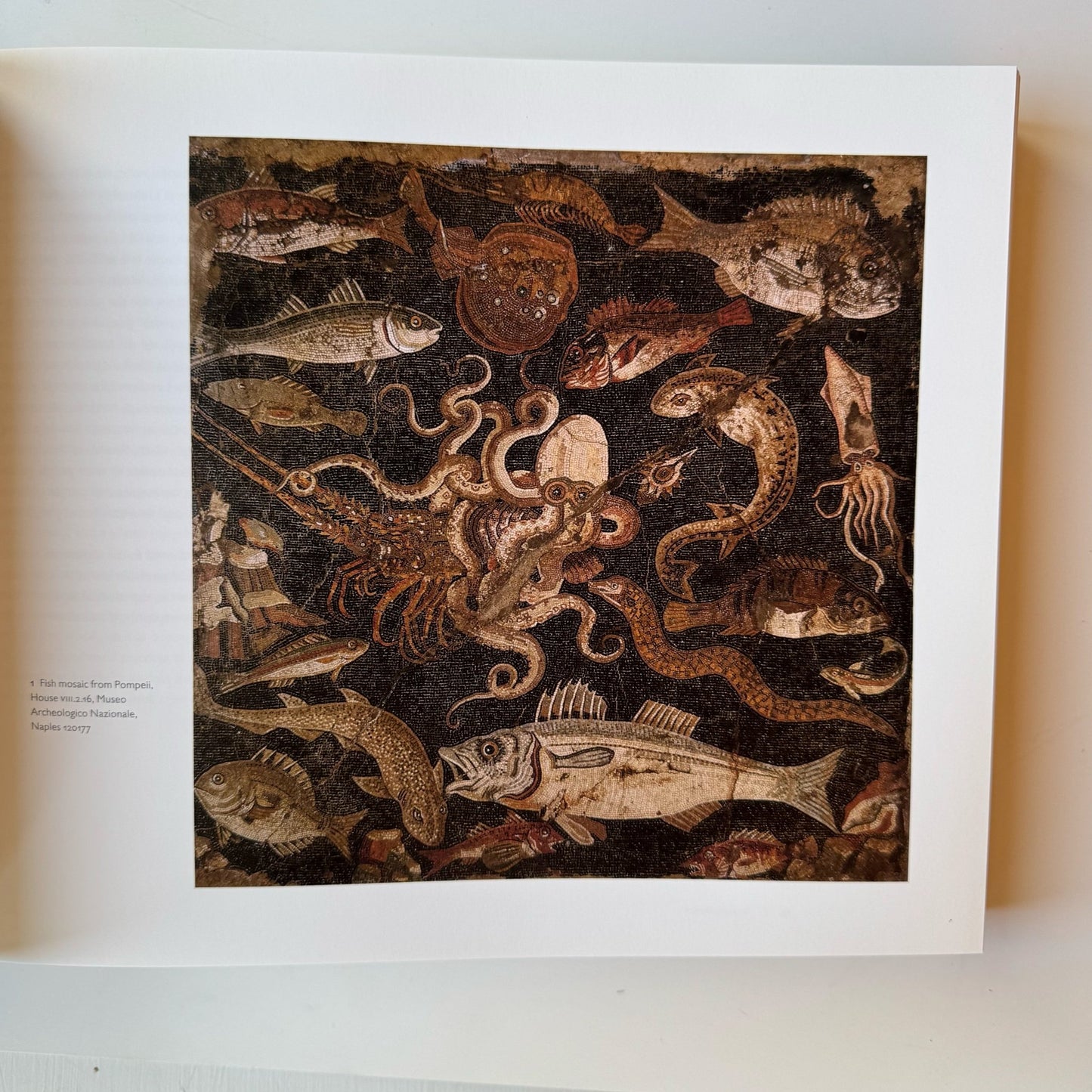 Pompeii and the Roman Villa: Art and Culture Around the Bay of Naples, Coffee Table Book - Pretty Old Books