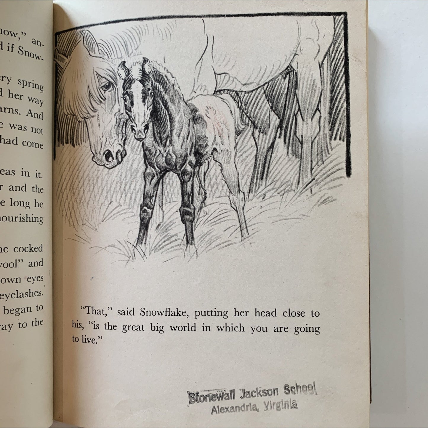 Pony Farm, Paul Brown, 1948, Children's Fiction - Pretty Old Books