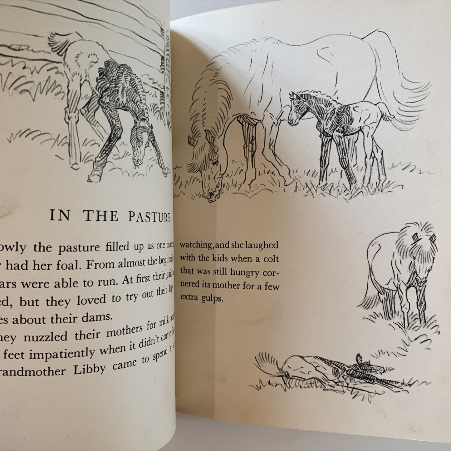 Pony Farm, Paul Brown, 1948, Children's Fiction - Pretty Old Books