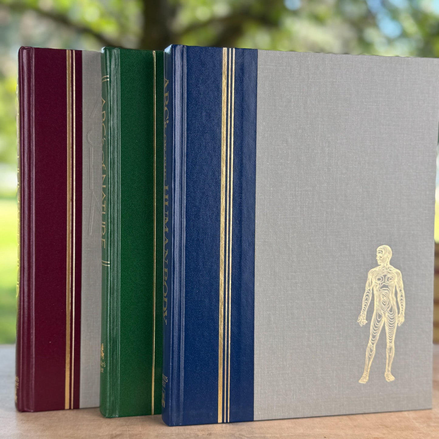 Reader's Digest ABCs: A Family Answer Book Set, Nature, Human Body and Mind, Illustrated - Pretty Old Books