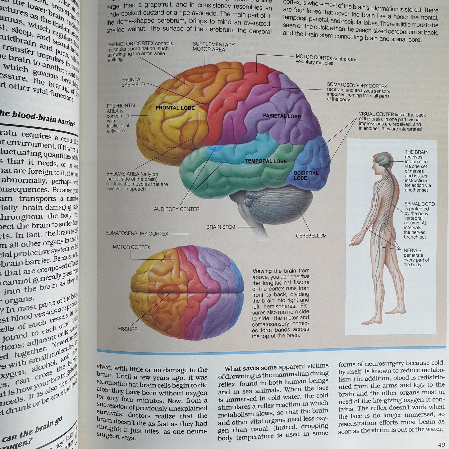 Reader's Digest ABCs: A Family Answer Book Set, Nature, Human Body and Mind, Illustrated - Pretty Old Books