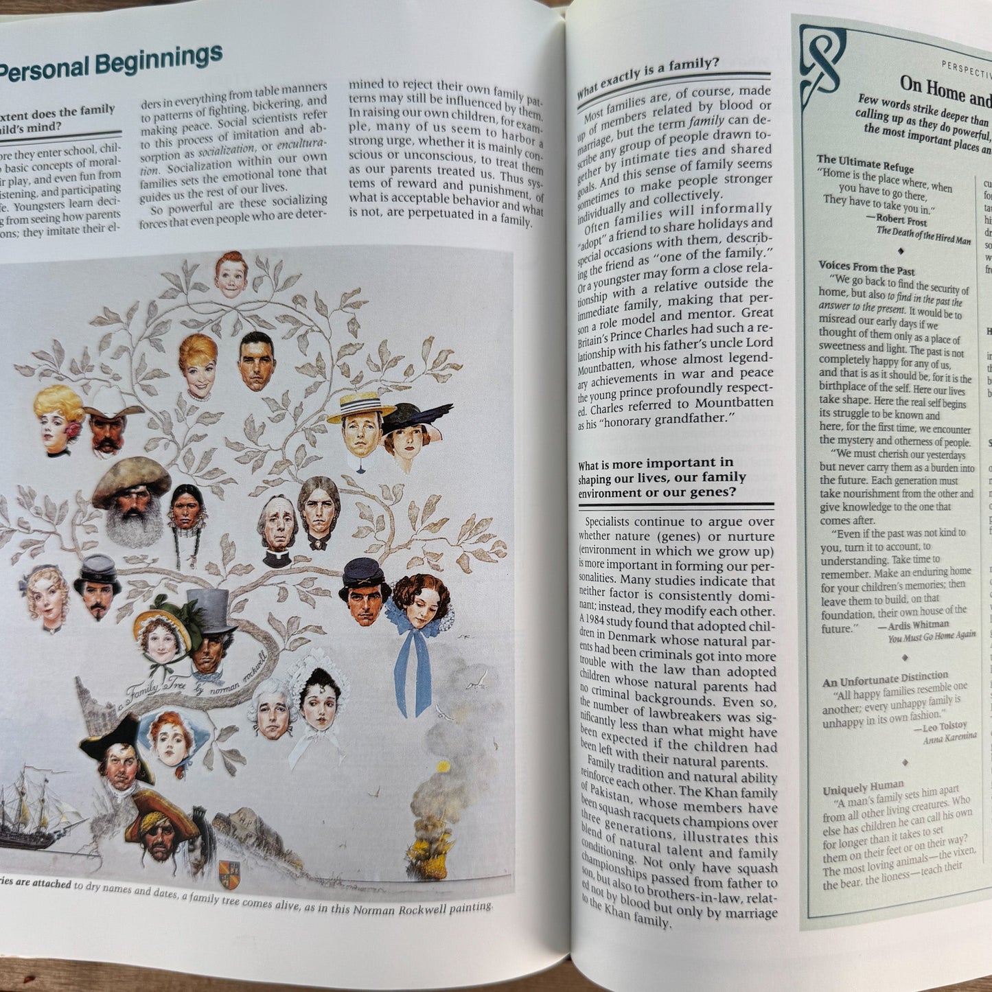 Reader's Digest ABCs: A Family Answer Book Set, Nature, Human Body and Mind, Illustrated - Pretty Old Books