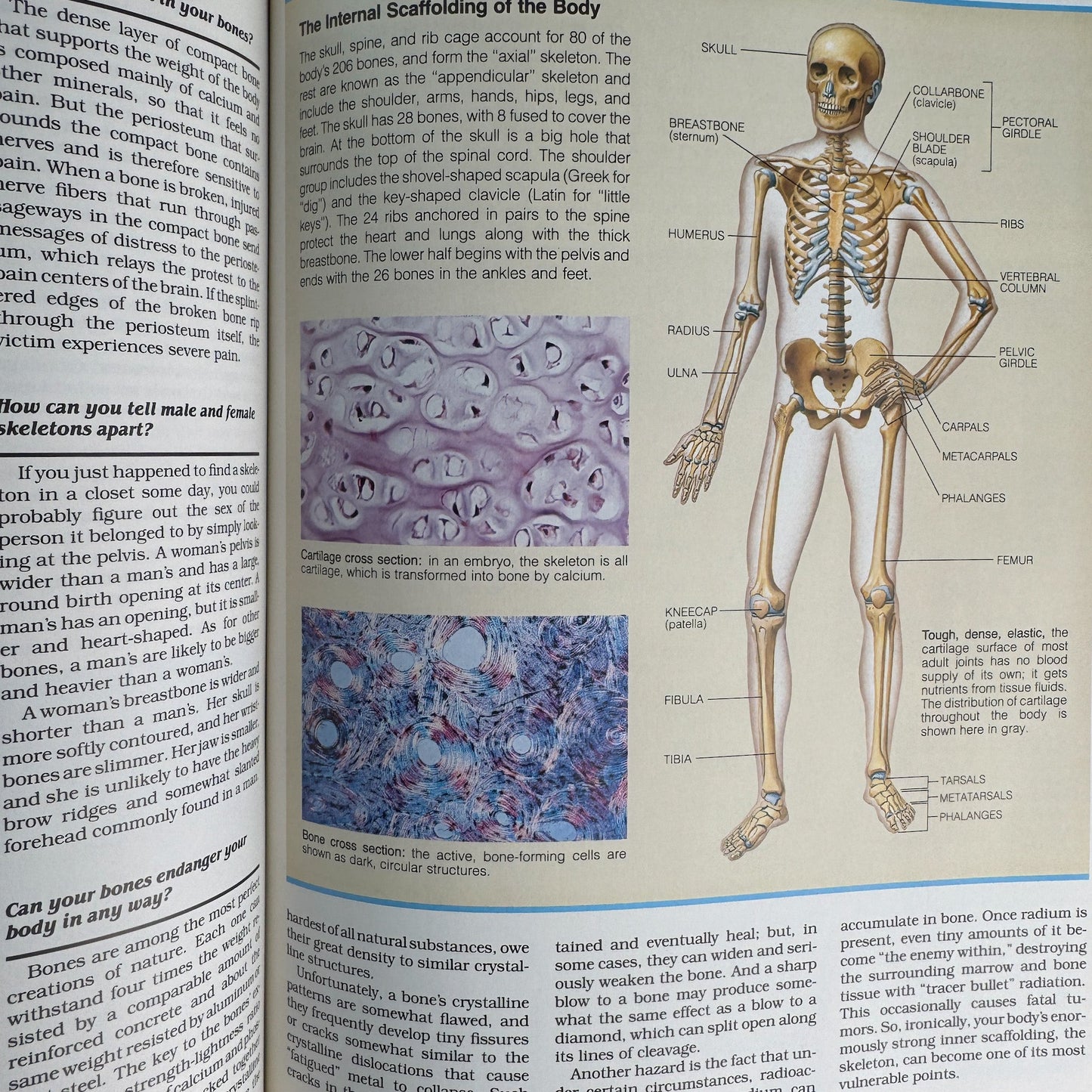 Reader's Digest ABCs: A Family Answer Book Set, Nature, Human Body and Mind, Illustrated - Pretty Old Books