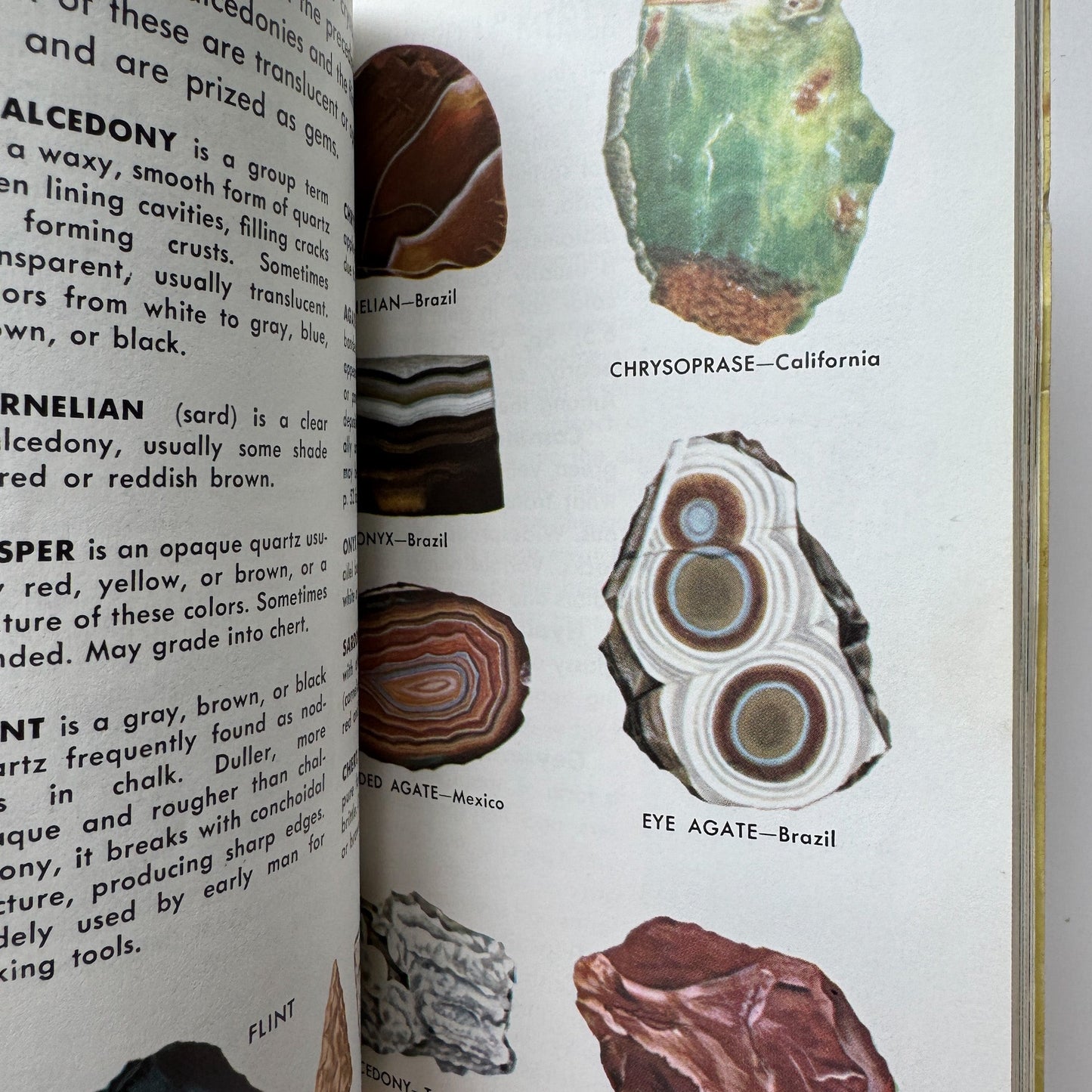 Rocks and Minerals A Golden Guide 1957 Paperback - Pretty Old Books