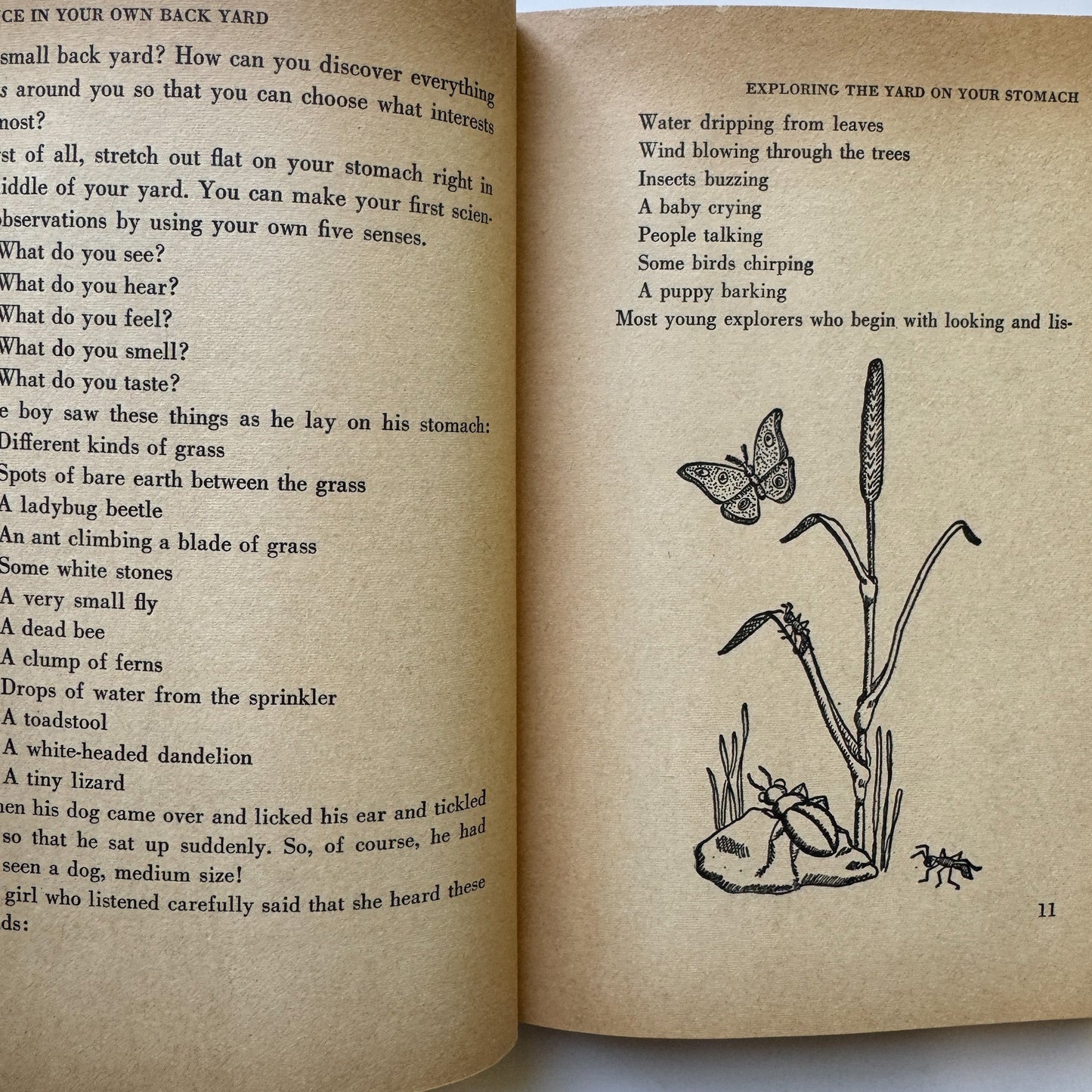 Science in Your Own Back Yard, 1960 Weekly Reader Children's Hardcover Book - Pretty Old Books