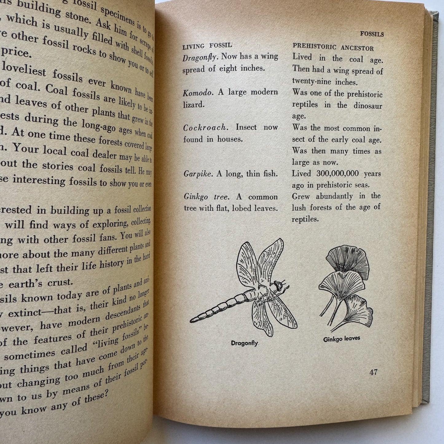 Science in Your Own Back Yard, 1960 Weekly Reader Children's Hardcover Book - Pretty Old Books