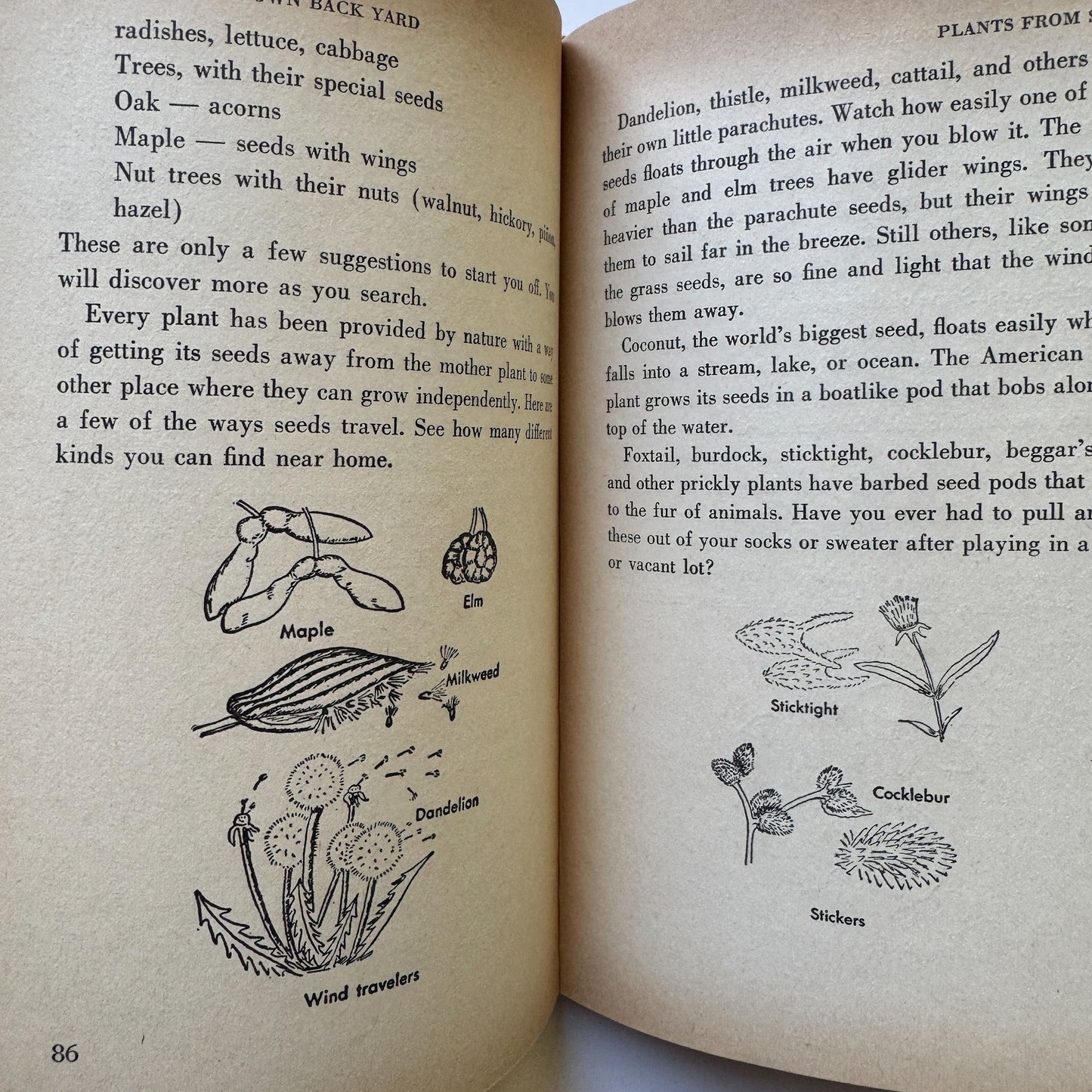 Science in Your Own Back Yard, 1960 Weekly Reader Children's Hardcover Book - Pretty Old Books