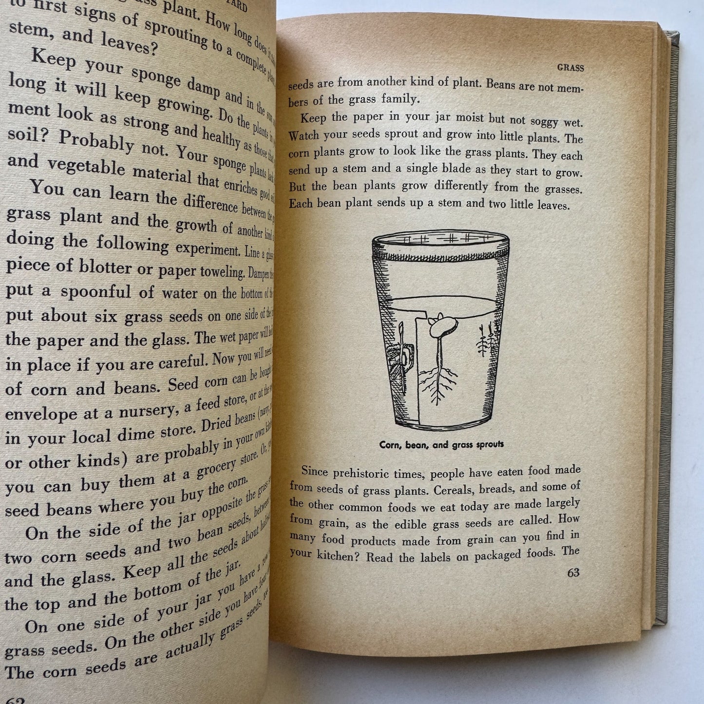 Science in Your Own Back Yard, 1960 Weekly Reader Children's Hardcover Book - Pretty Old Books