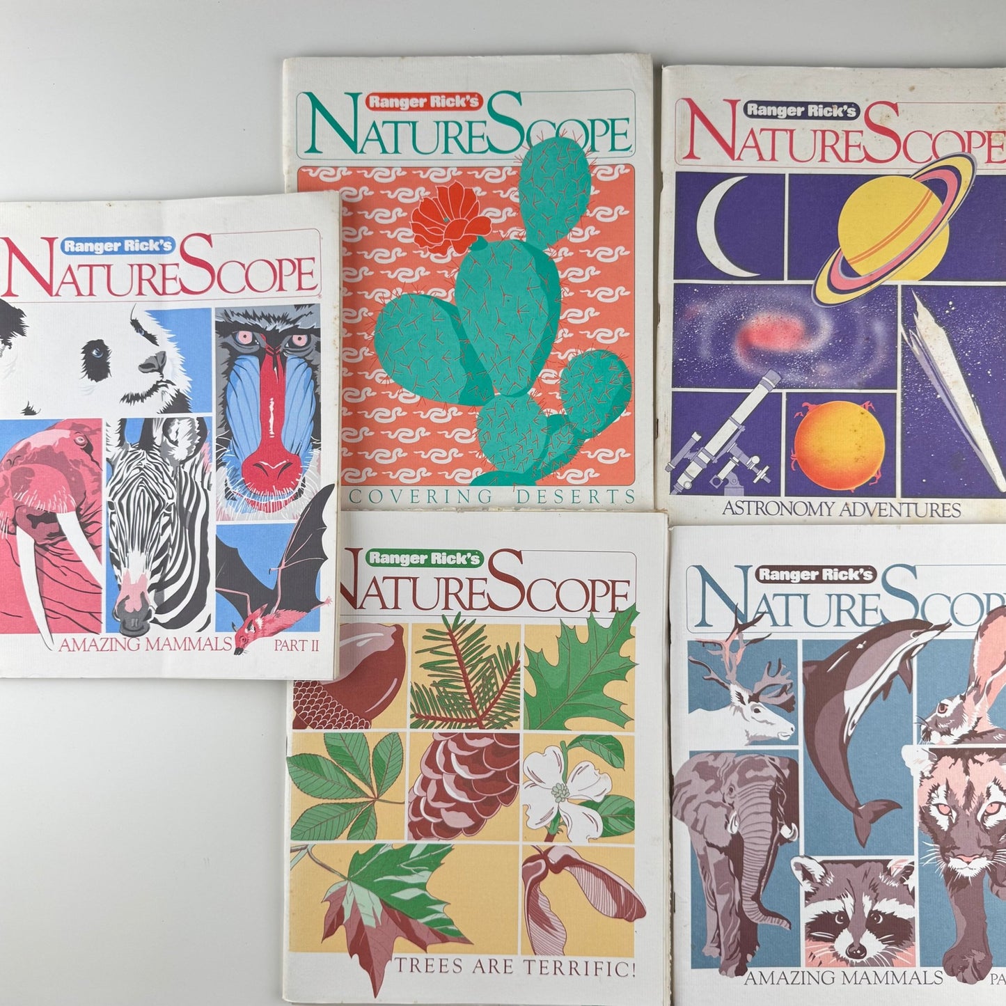 Set of 5 Ranger Rick Nature Scope Magazines, 1980s, Trees, Animals, Space, Deserts - Pretty Old Books