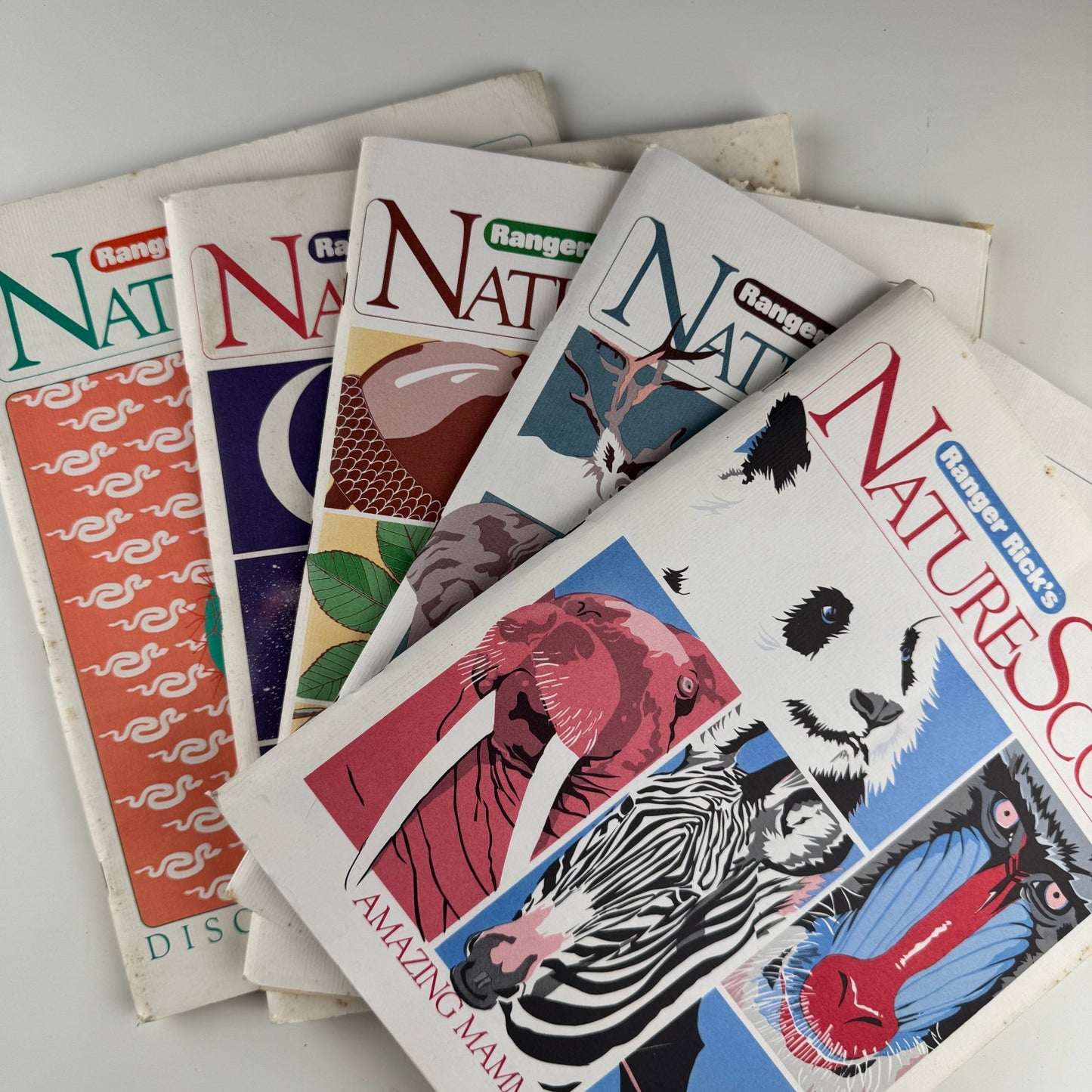 Set of 5 Ranger Rick Nature Scope Magazines, 1980s, Trees, Animals, Space, Deserts - Pretty Old Books