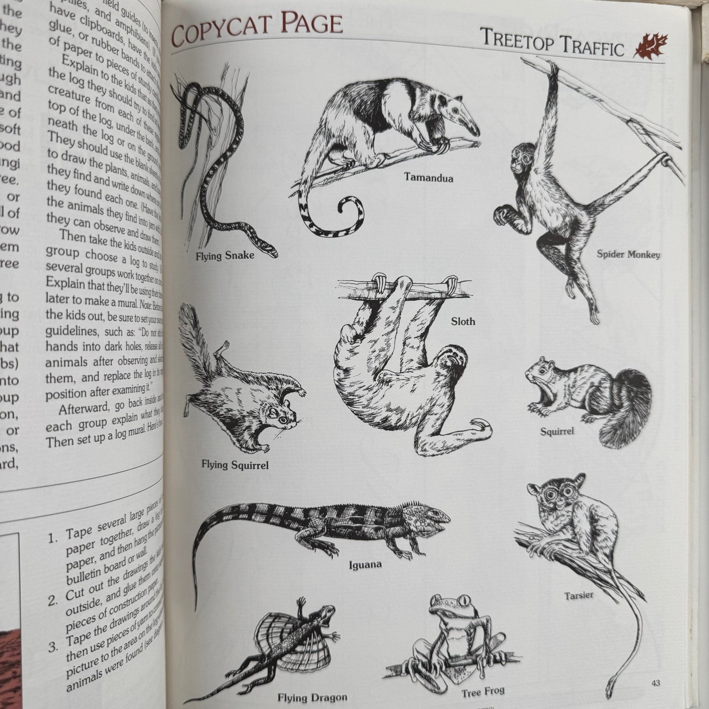Set of 5 Ranger Rick Nature Scope Magazines, 1980s, Trees, Animals, Space, Deserts - Pretty Old Books