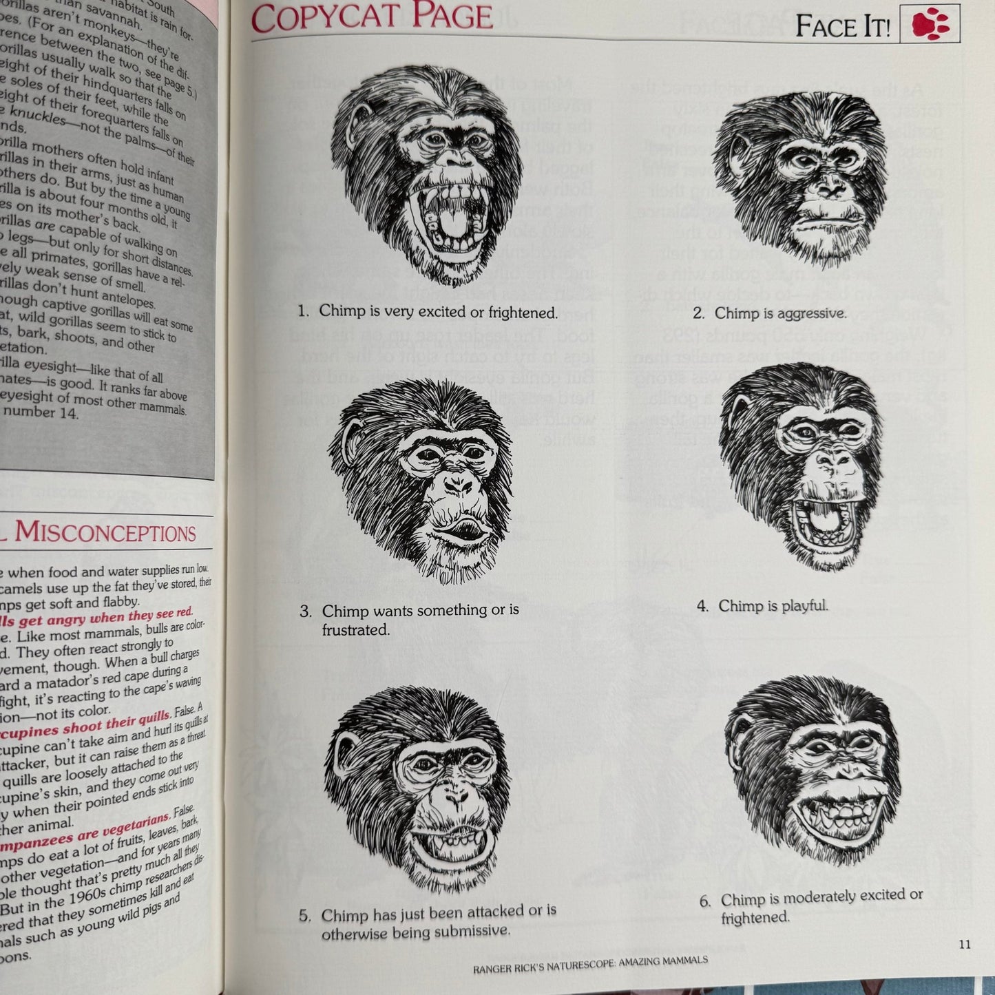 Set of 5 Ranger Rick Nature Scope Magazines, 1980s, Trees, Animals, Space, Deserts - Pretty Old Books