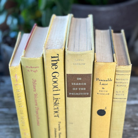 Shabby Faded Yellow Vintage Books for Decor - Pretty Old Books