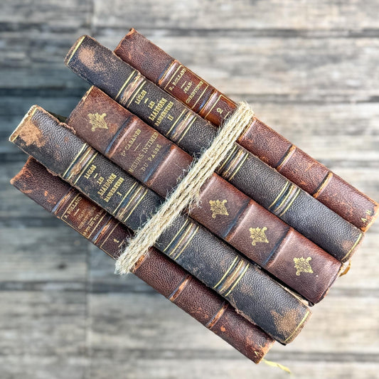 Shabby Old Dark Brown Leather French Antique Book Set - Pretty Old Books