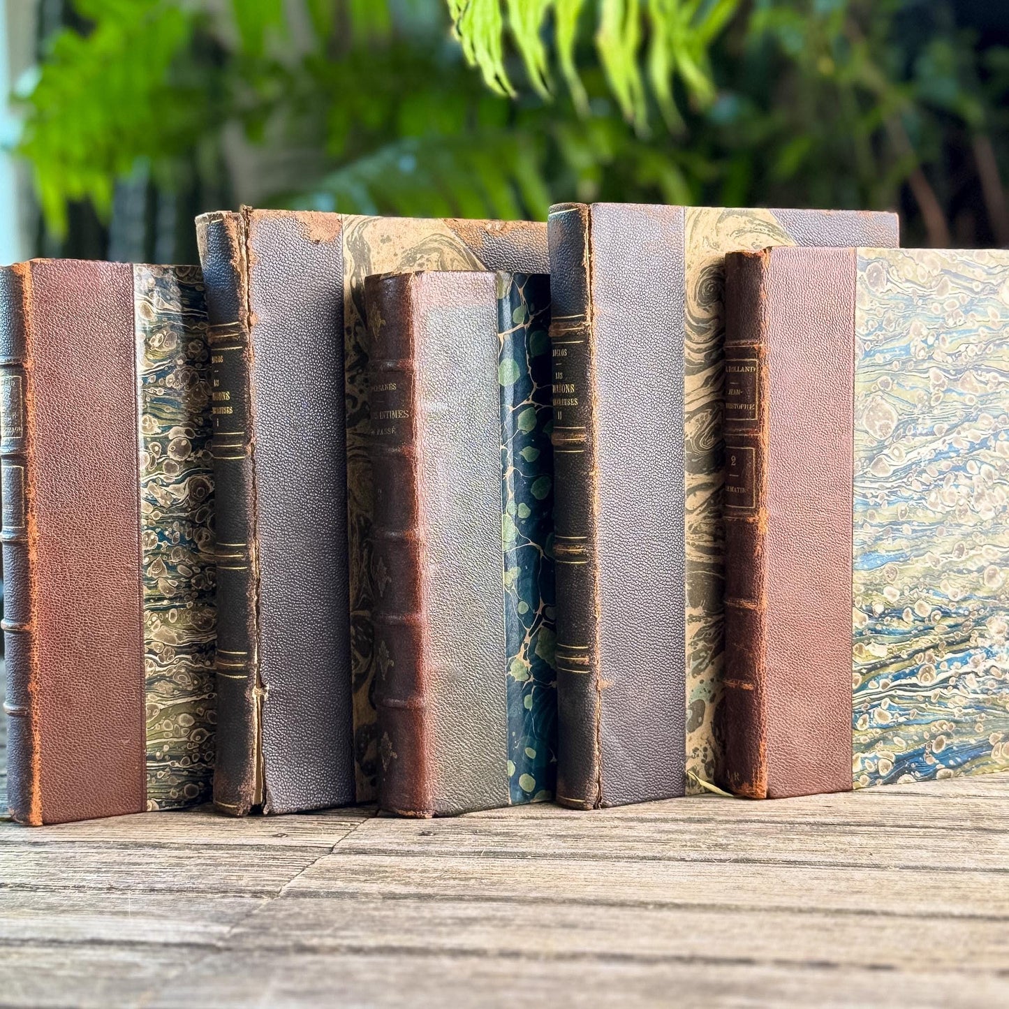 Shabby Old Dark Brown Leather French Antique Book Set - Pretty Old Books