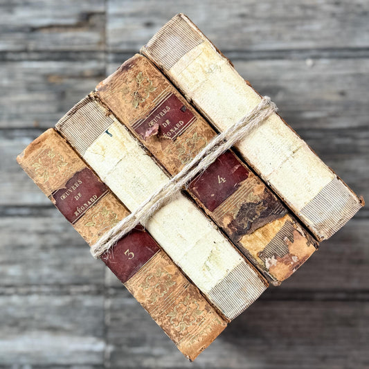 Small Shabby Antique French Book Set - Oeuvres de Régnard, 1824, 4 Volumes - Pretty Old Books