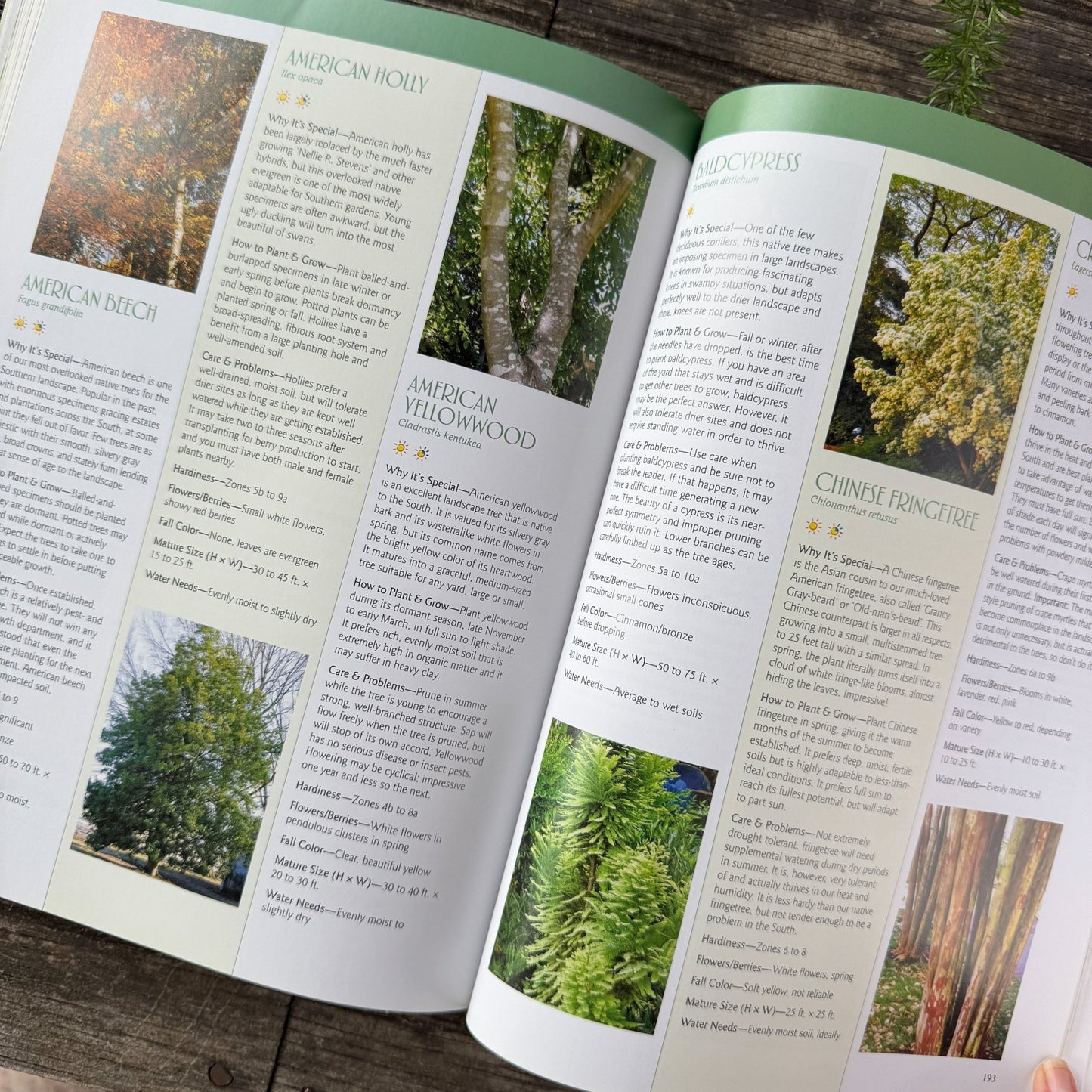 Southern Gardener's Handbook, 2014 Softcover - Pretty Old Books