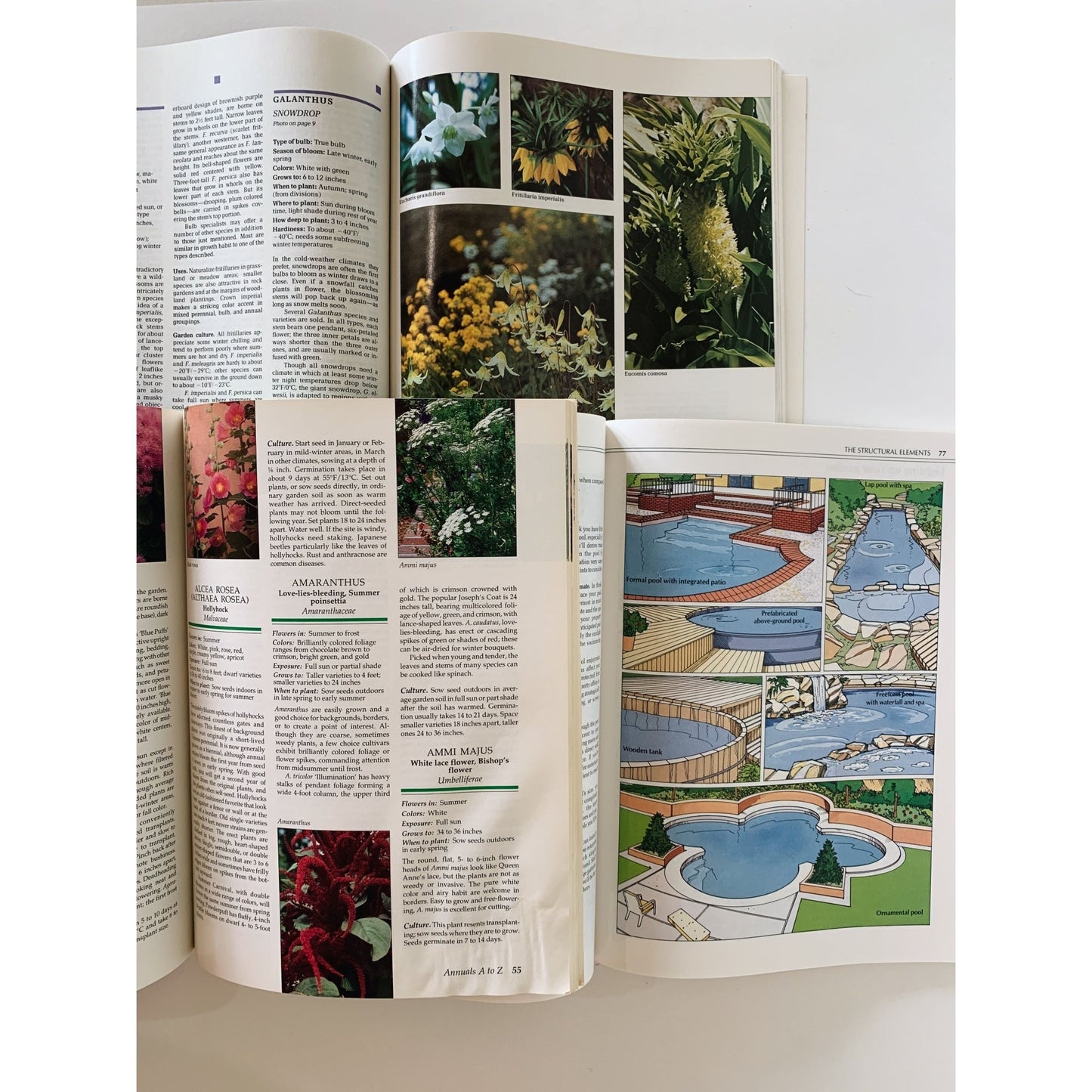 Sunset Magazine Gardening Books, Vintage Paperback Books, 1990s - Pretty Old Books