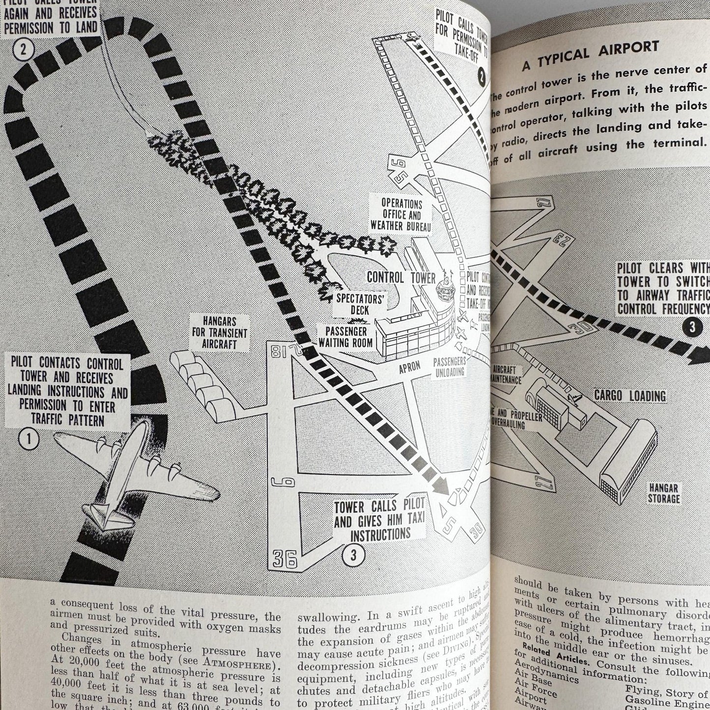 The American Educator Library Book Set, Complete, 1960, Mid - Century Book Set - Pretty Old Books