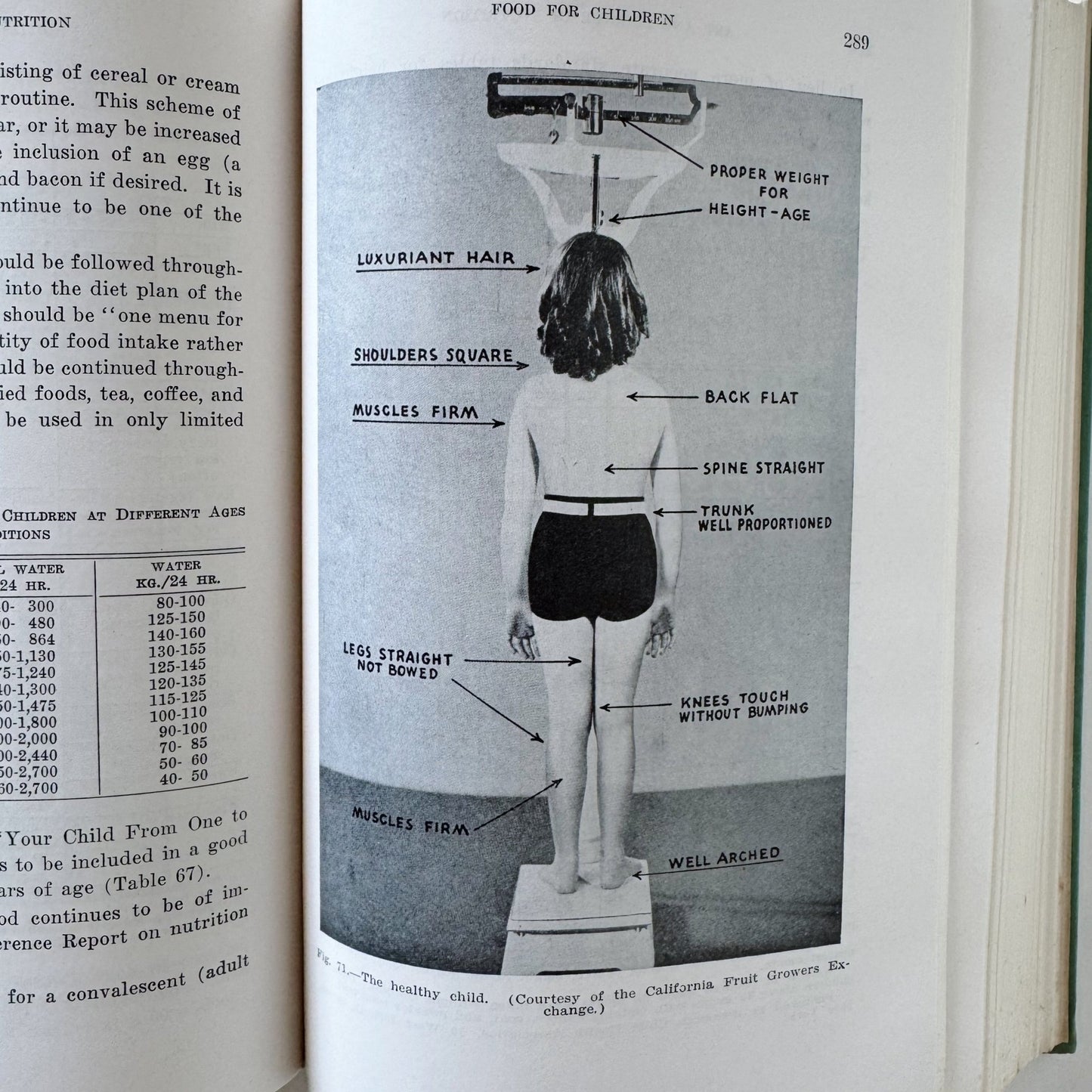 The Art and Science of Nutrition, 1948 Textbook - Pretty Old Books
