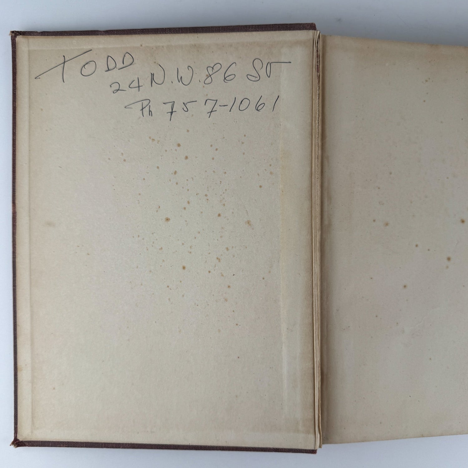 The Birds of America, 1946, John James Audubon, 5th Printing, Oversized Hardcover - Pretty Old Books