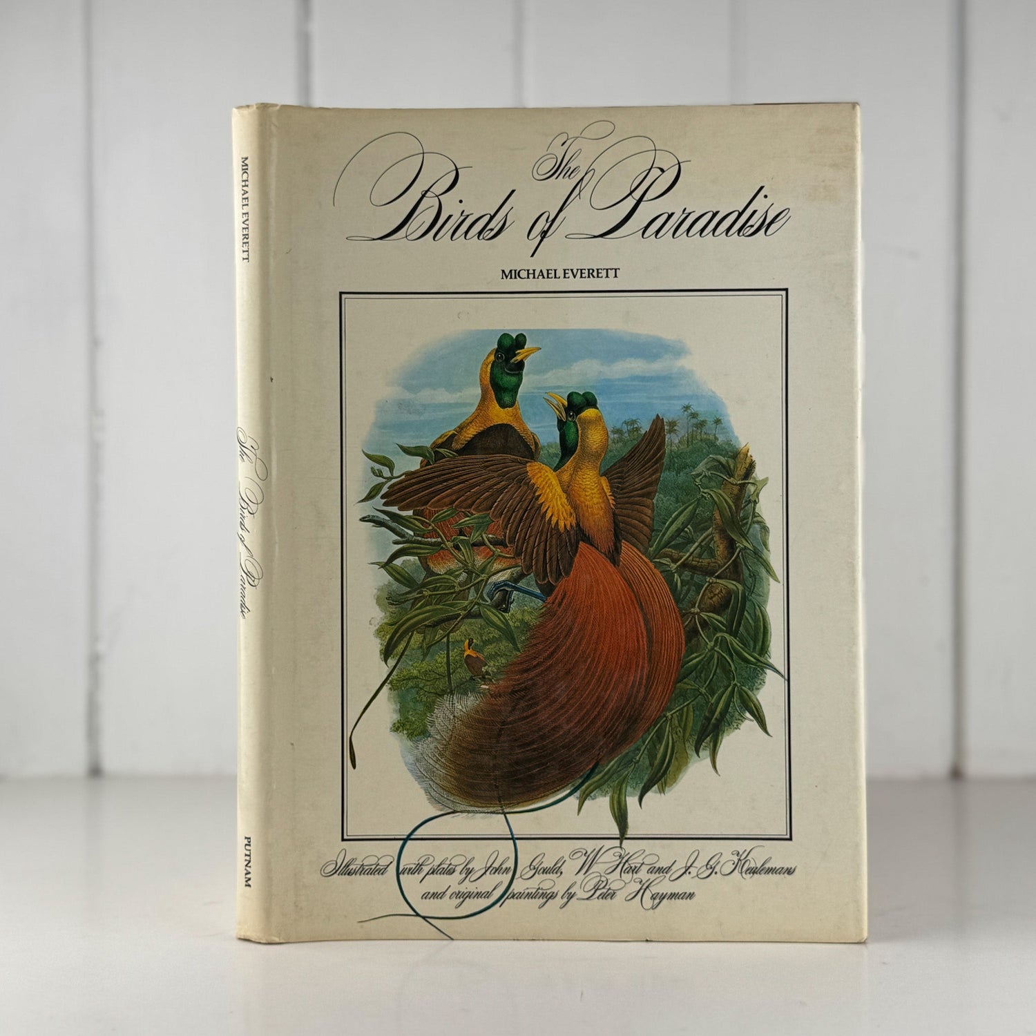 The Birds of Paradise, Michael Everett, 1978, Full Page Bird Plates - Pretty Old Books