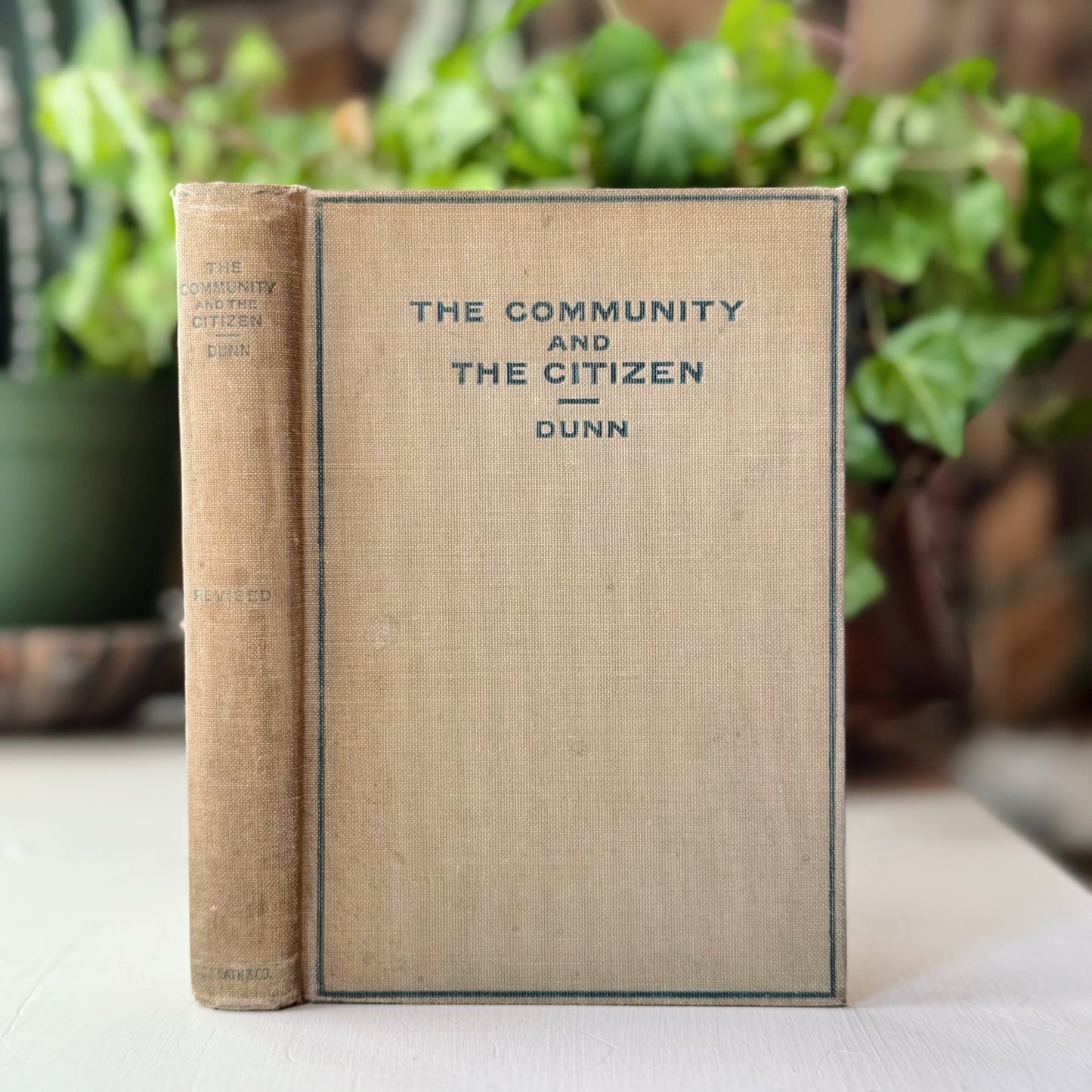 The Community and the Citizen, Civics Textbook 1914 - Pretty Old Books