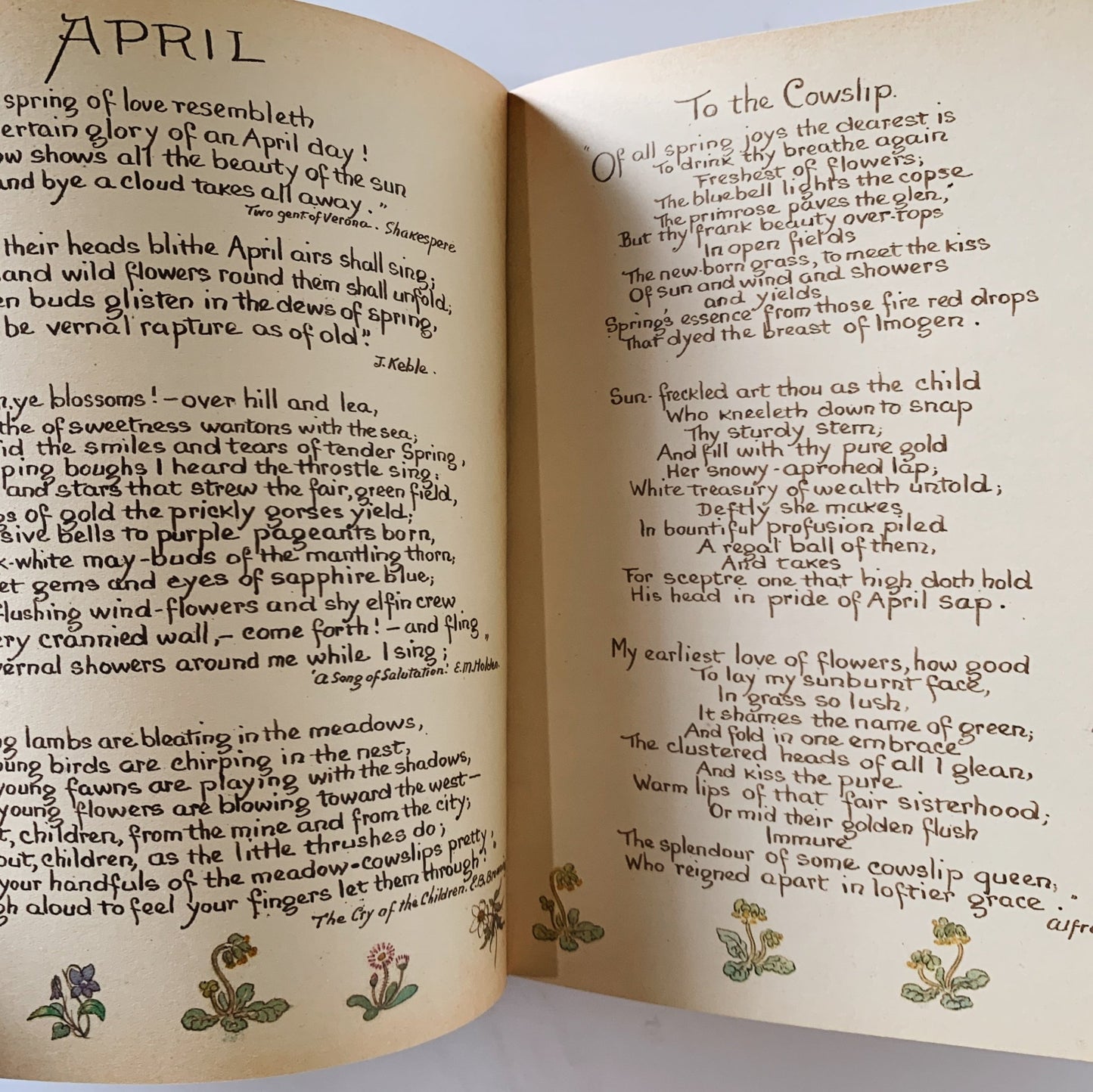 The Country Diary of an Edwardian Lady, Edith Holden, 1977, Botanical Book - Pretty Old Books