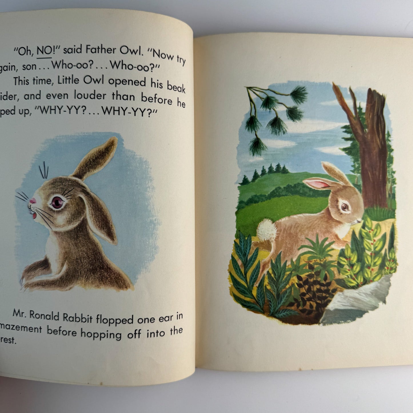 The Curious Little Owl, Francis Ruth Keller, Platt & Munk, 1957 - Pretty Old Books