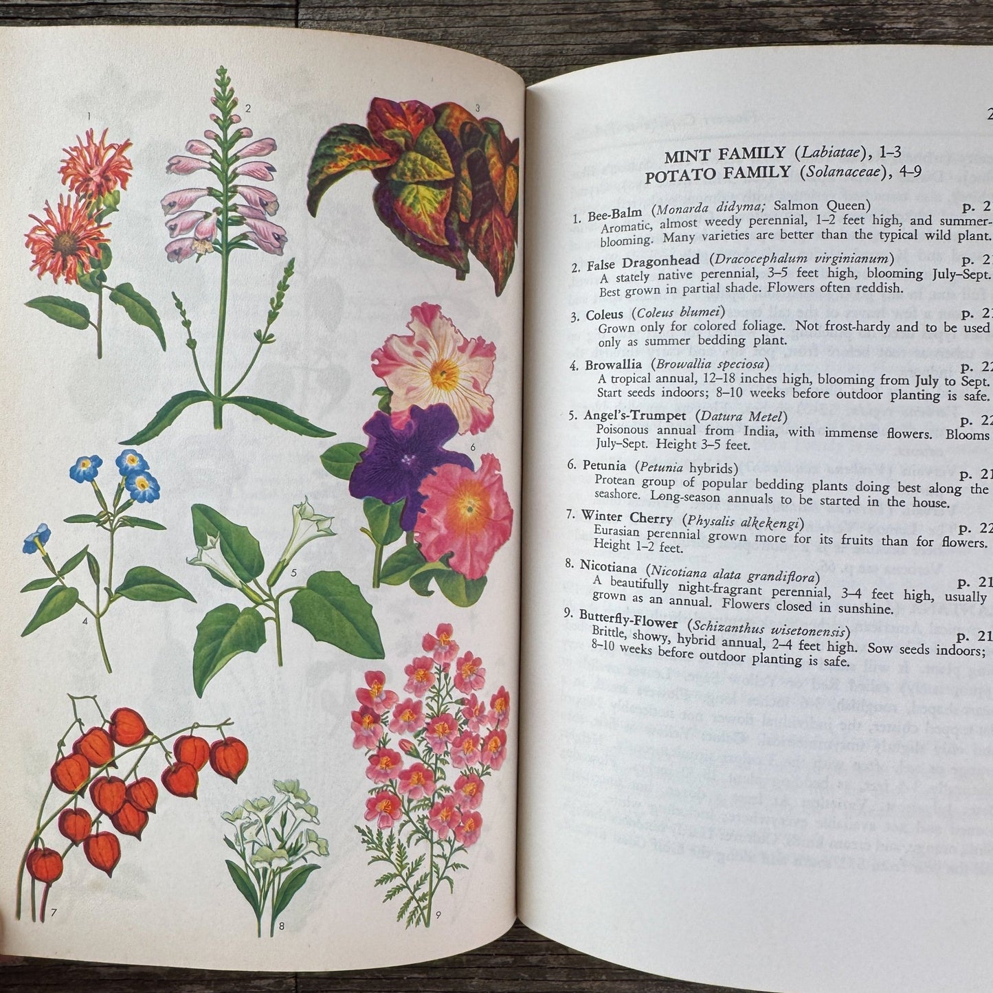 The Guide to Garden Flowers: Their Identity and Culture, Norman Taylor, 1958 - Pretty Old Books