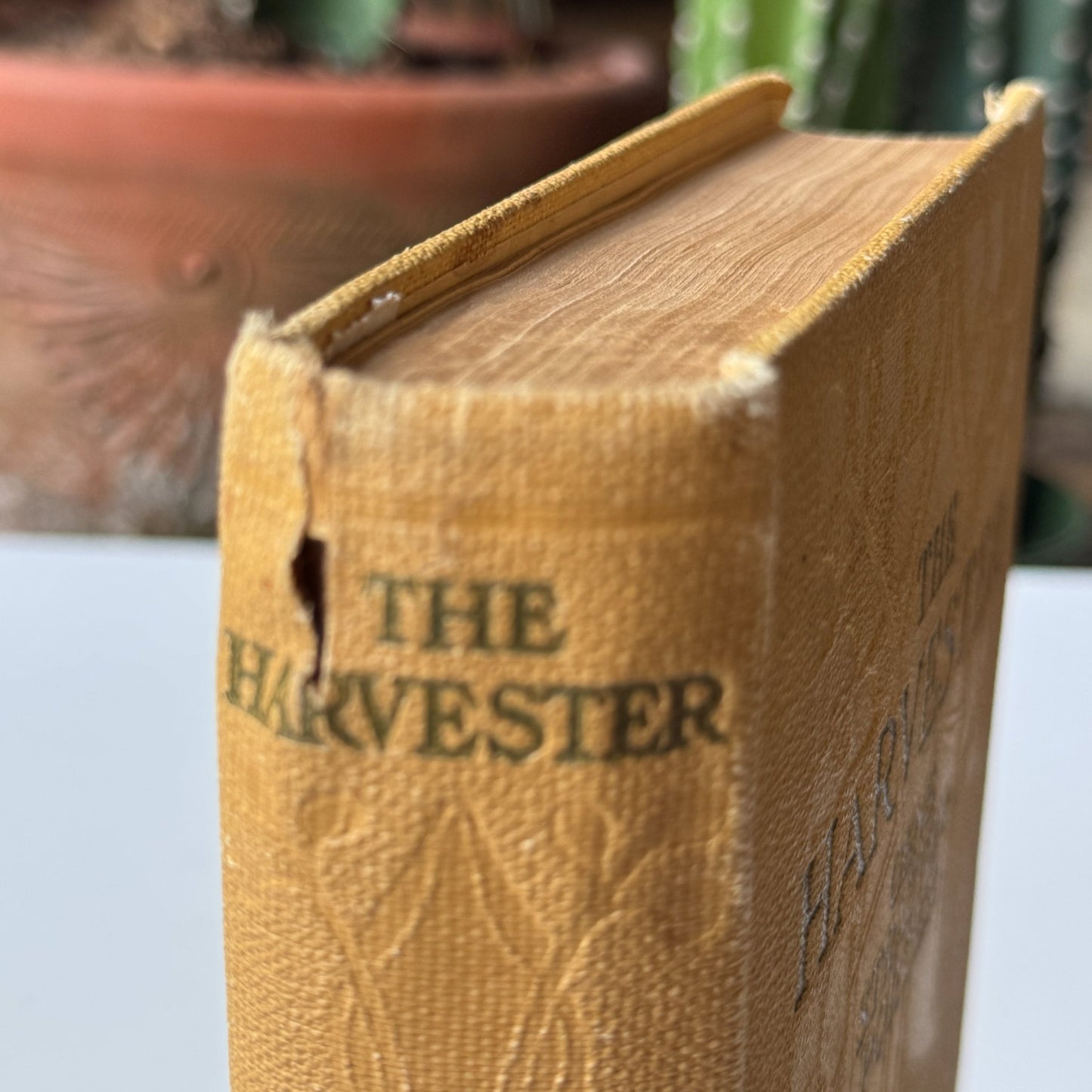 The Harvester by Gene Stratton - Porter, Illustrated, 1911 - Pretty Old Books