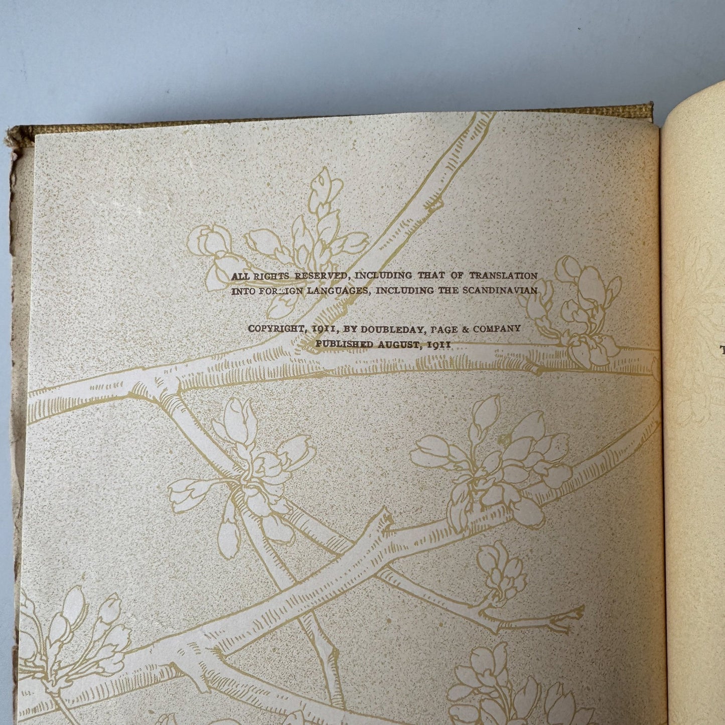 The Harvester by Gene Stratton - Porter, Illustrated, 1911 - Pretty Old Books