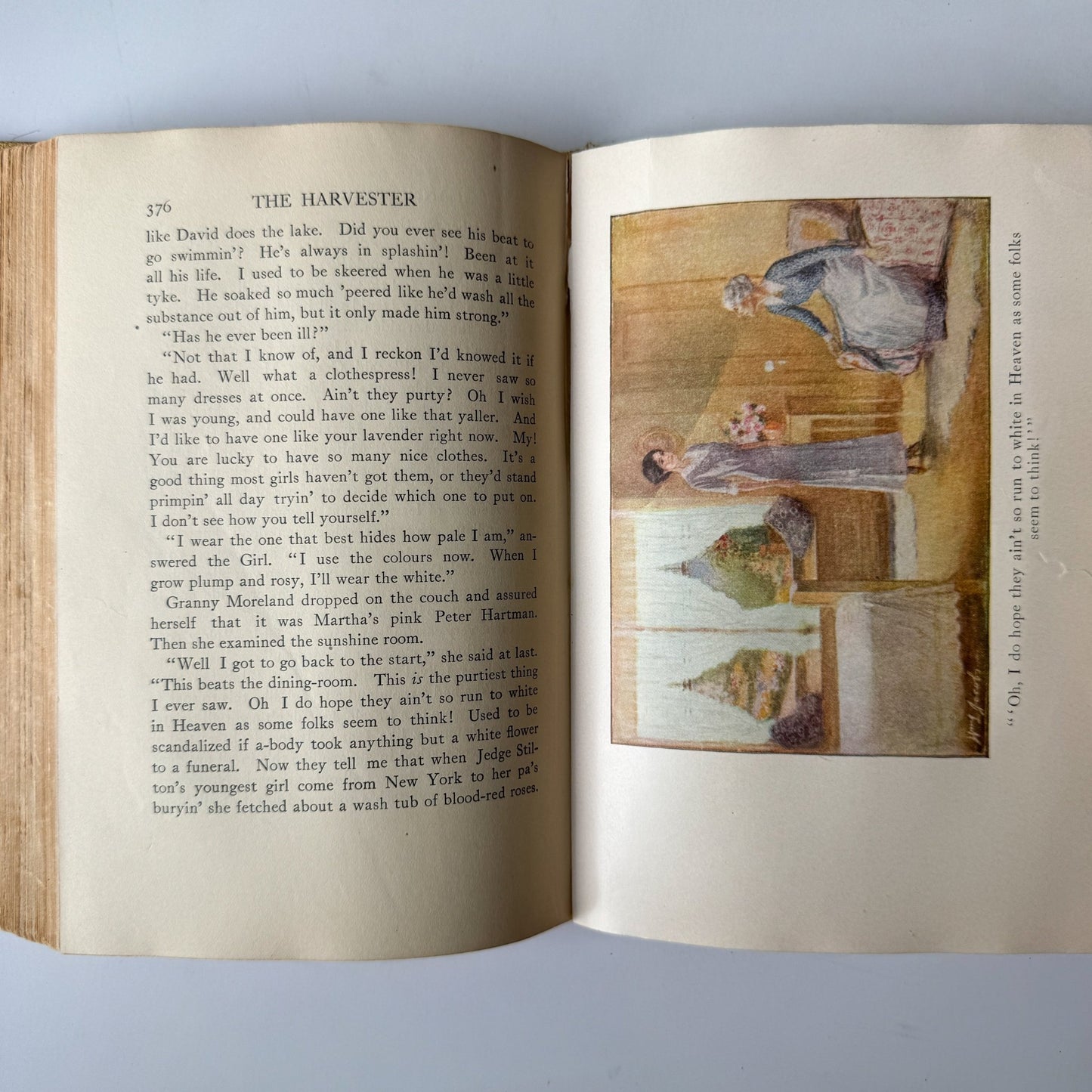 The Harvester by Gene Stratton - Porter, Illustrated, 1911 - Pretty Old Books