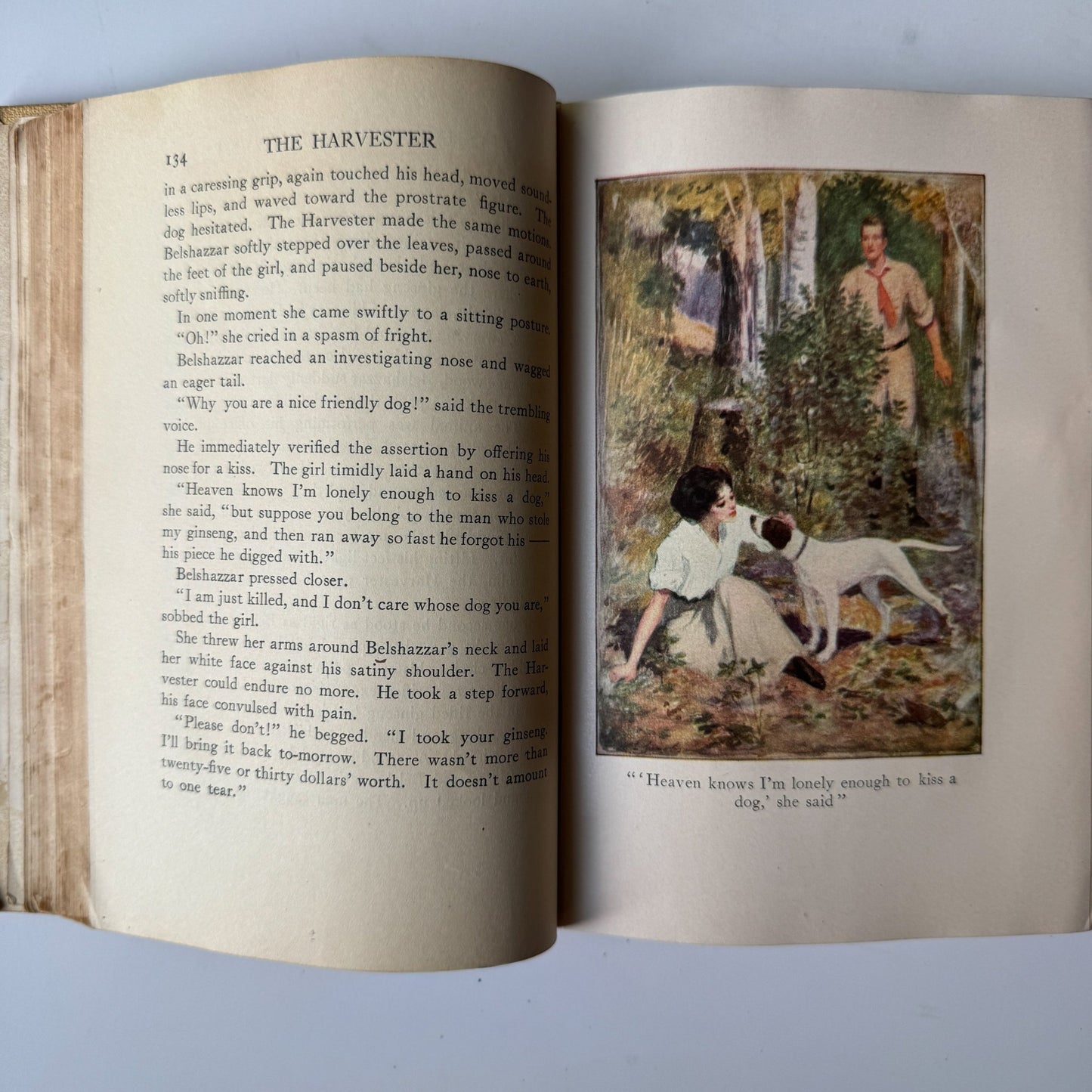 The Harvester by Gene Stratton - Porter, Illustrated, 1911 - Pretty Old Books