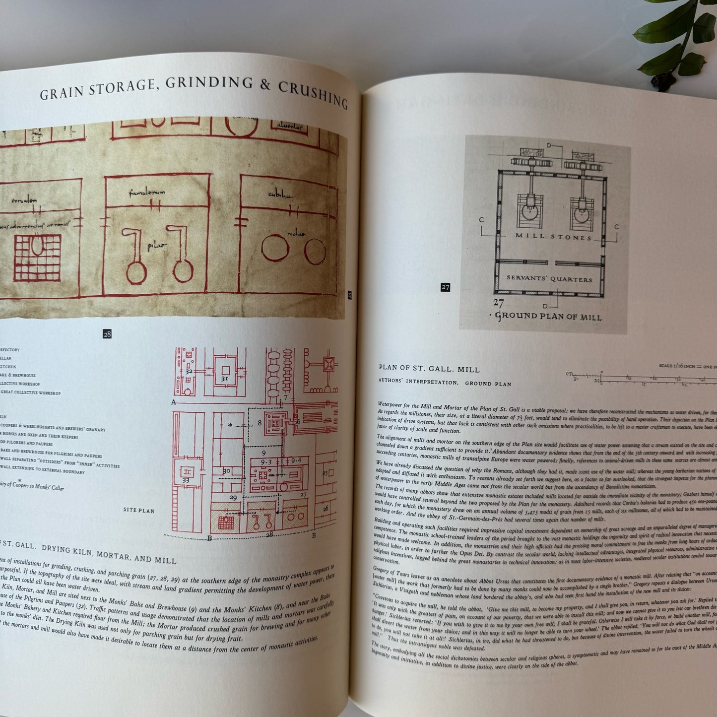 The Plan of St. Gall in Brief, Lorna Price, 1982 Oversized Book - Pretty Old Books