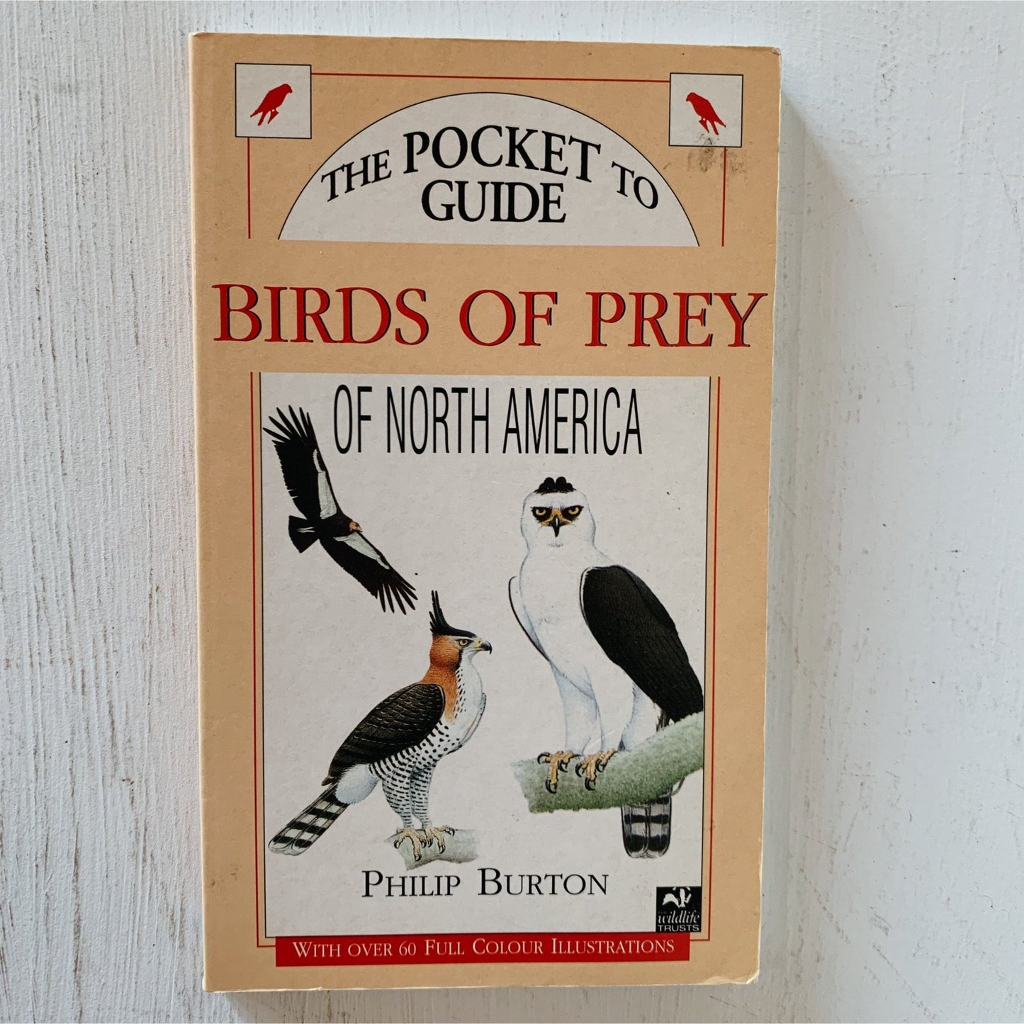 The Pocket Guide to Birds of Prey of North America, Paperback Field Guide - Pretty Old Books