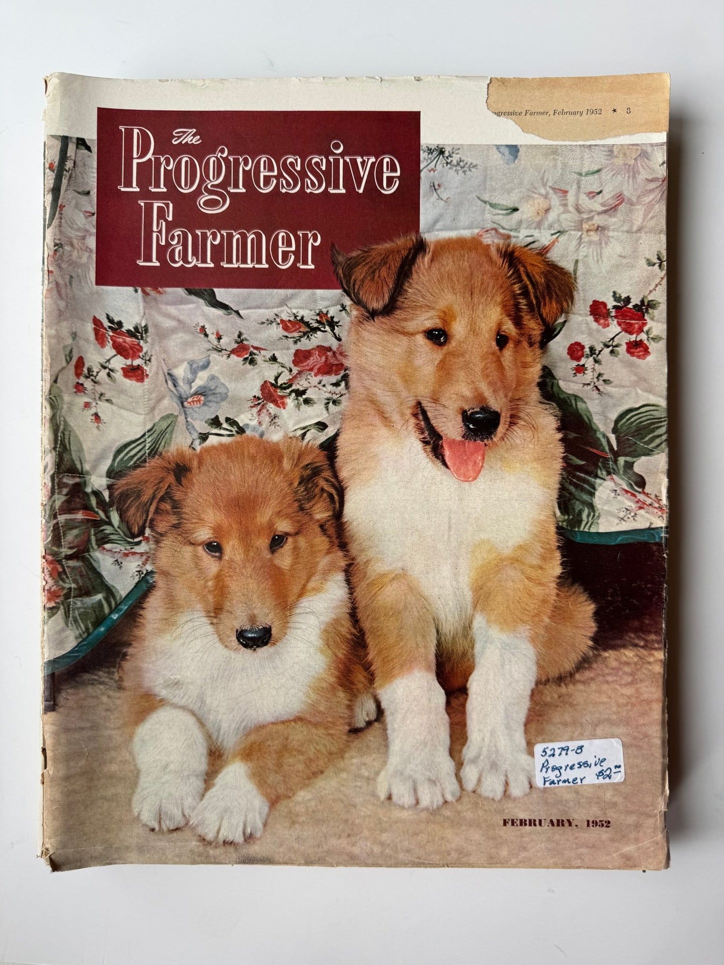 The Progressive Farmer Magazine, Vintage Magazines Mid Century 1940s and 1950s, Choose One - Pretty Old Books