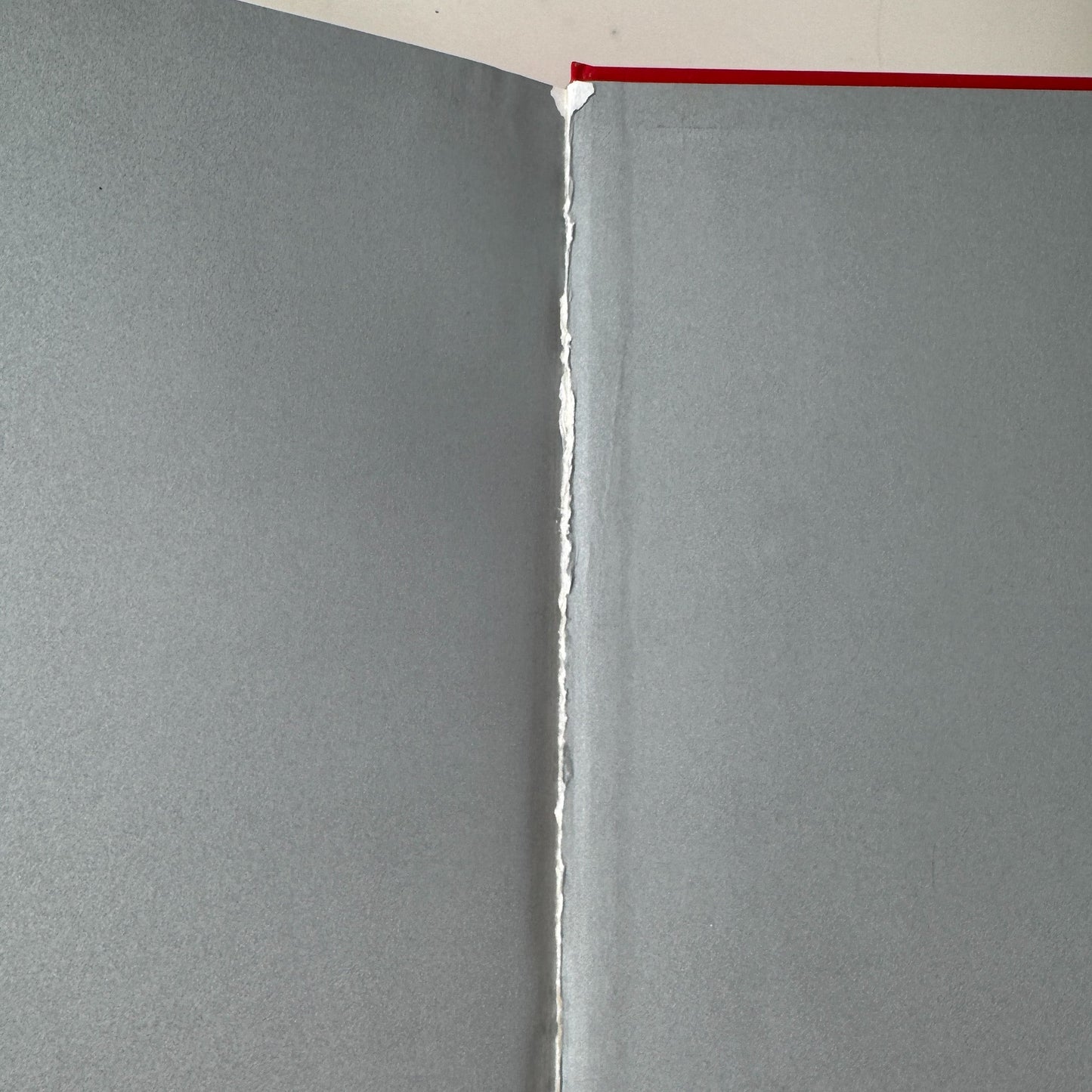 The Silver Spoon Cook Book, Phaidon, 2016 Italian Cooking Classic - Pretty Old Books