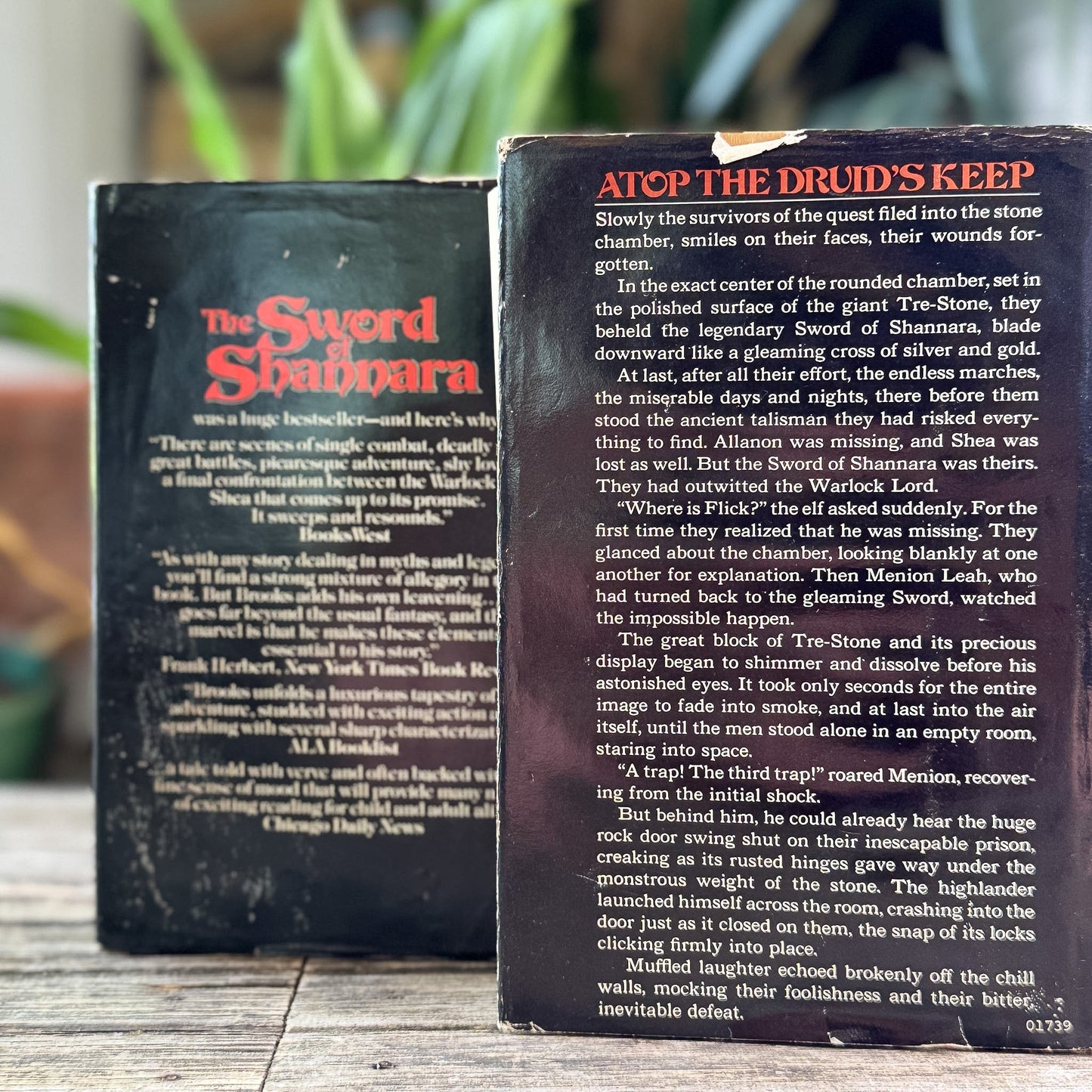 The Sword of Shannara and The Elfstones of Shannara, Terry Brooks, 1977 and 1982, Two-Volume Book Club Set - Pretty Old Books