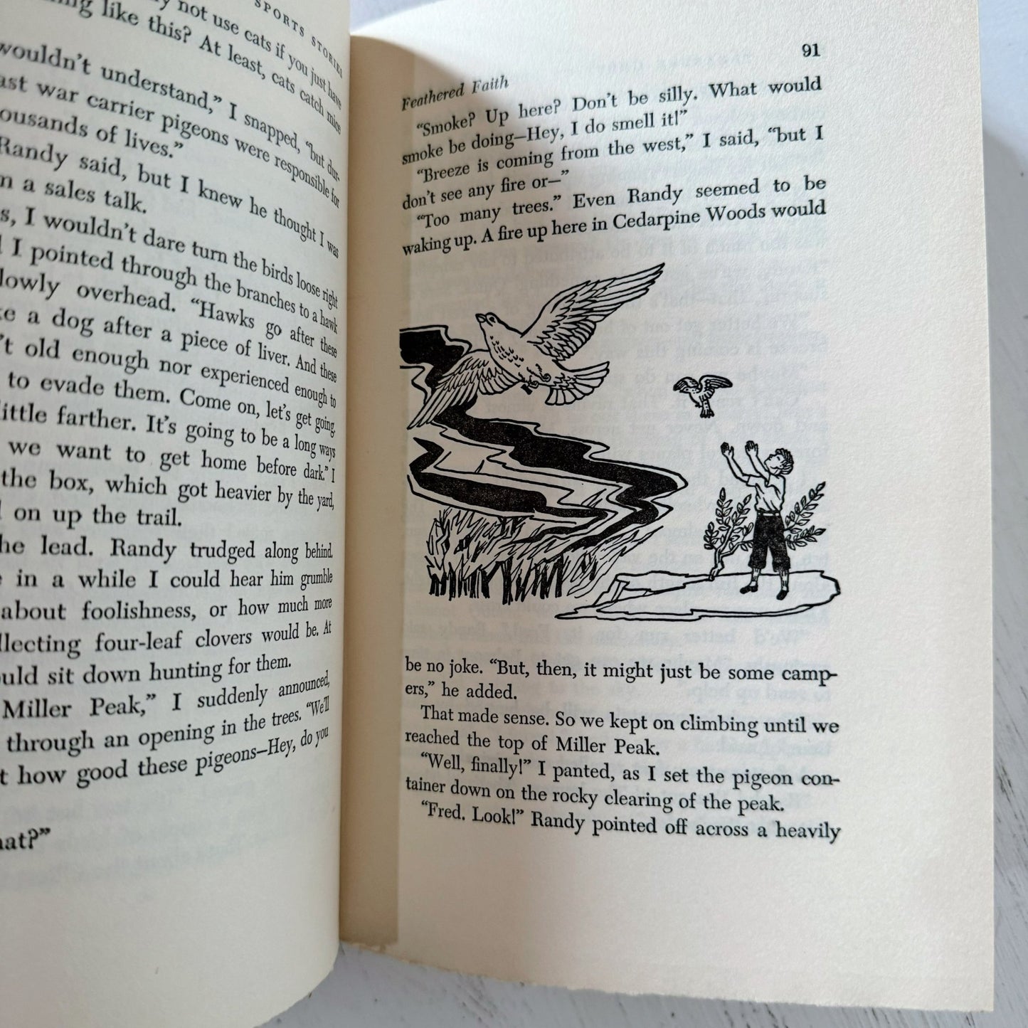 The Teen - Age Treasure Chest of Sports Stories, 1948 - Pretty Old Books